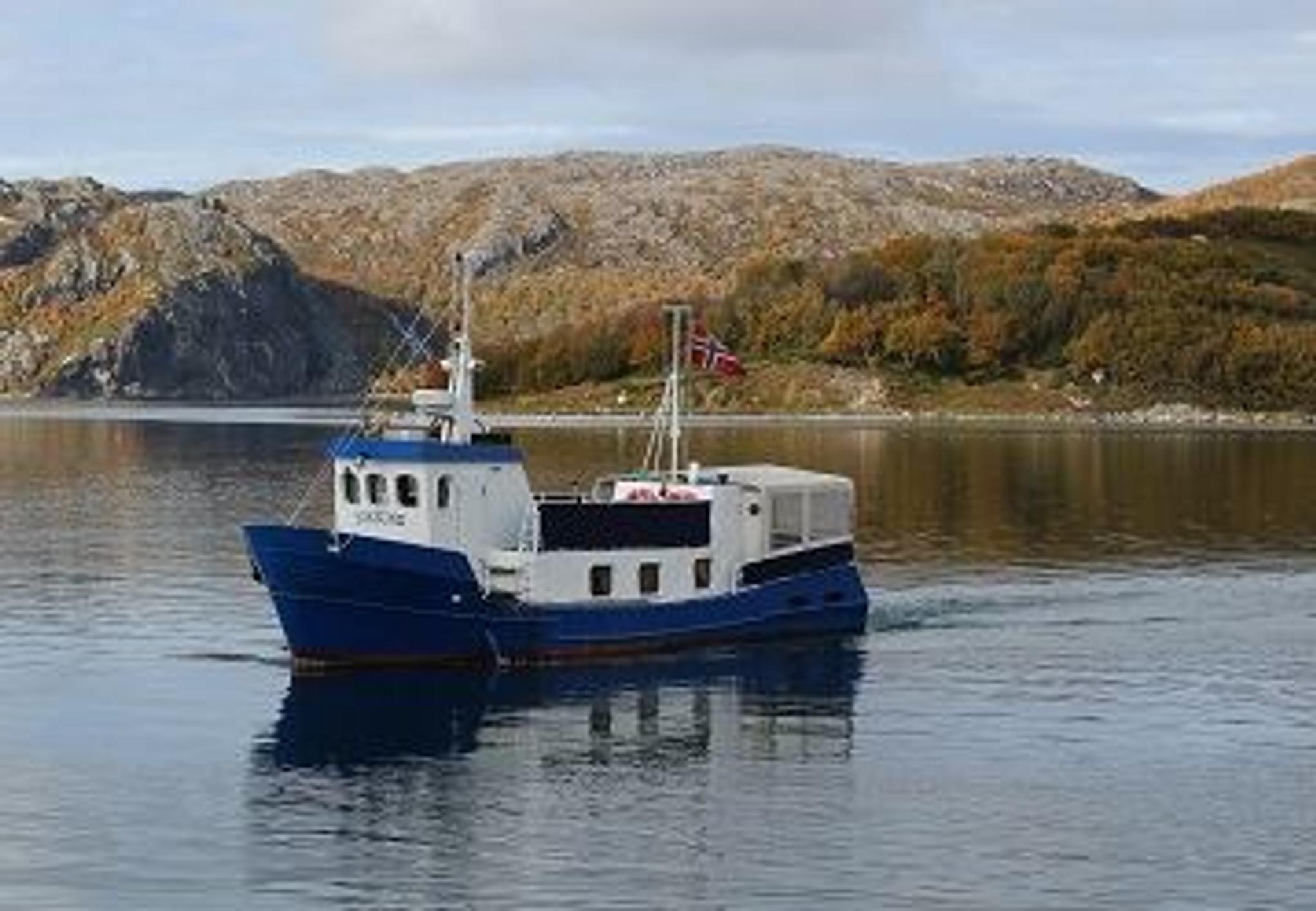 Kongekrabbesafari med båt - Artsafari