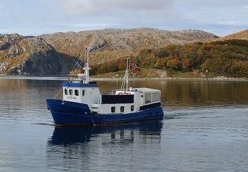 Kongekrabbesafari med båt - Artsafari