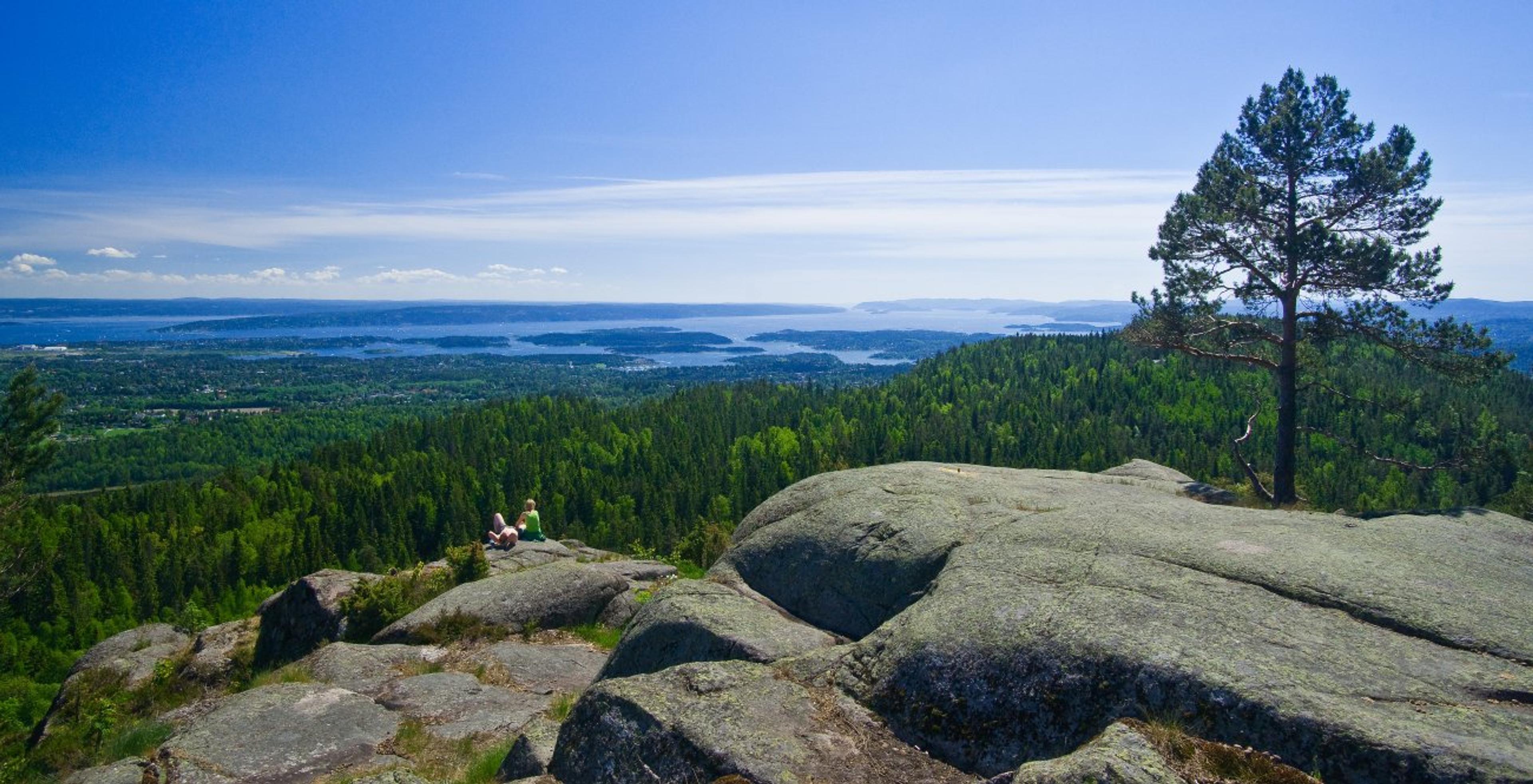 Kolsåstoppen - utsikt