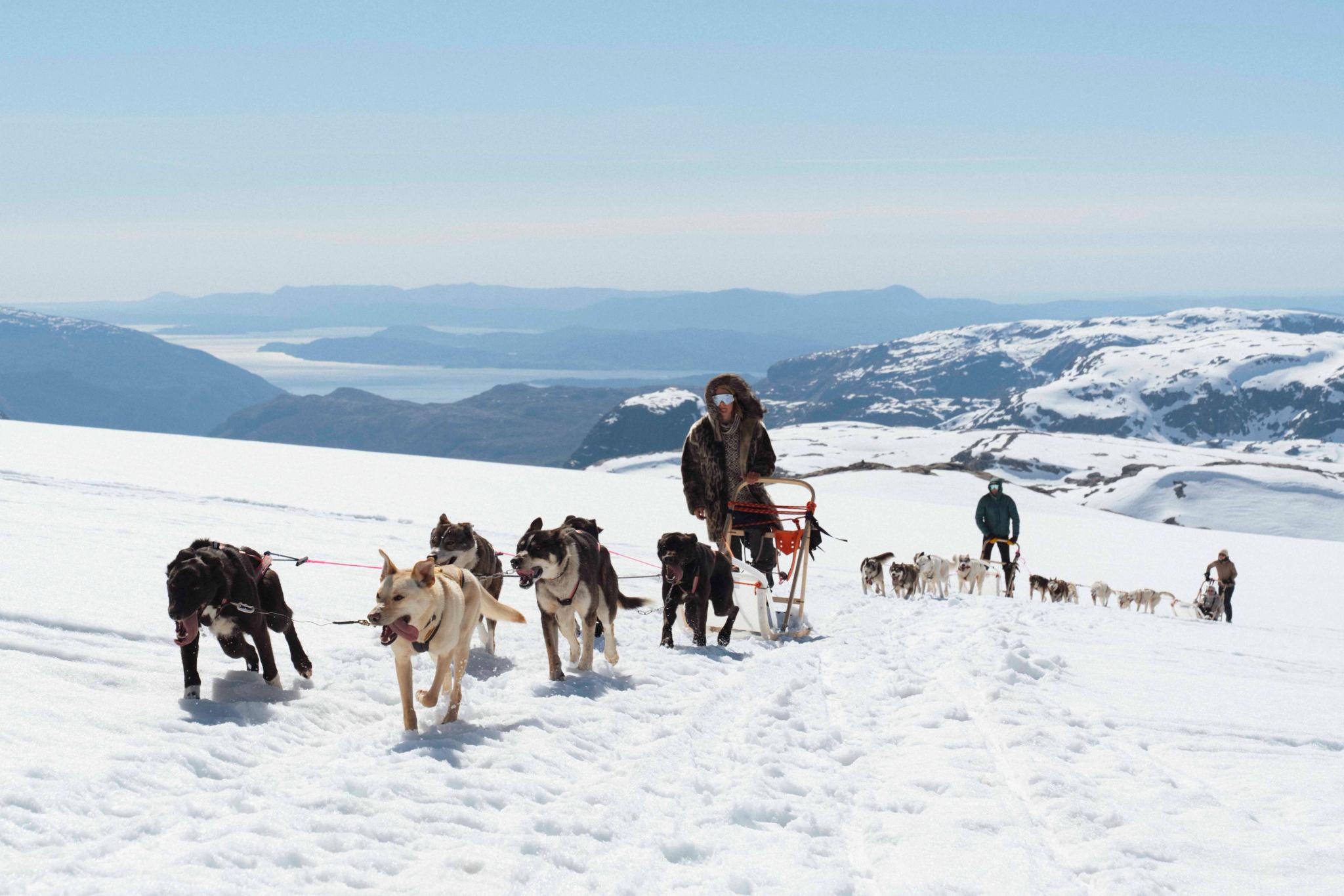 Et hundespann kjører gjennom snødekte fjell på folgefonna med en vakker utsikt over hardangerfjorden og fjell i bakgrunnen.