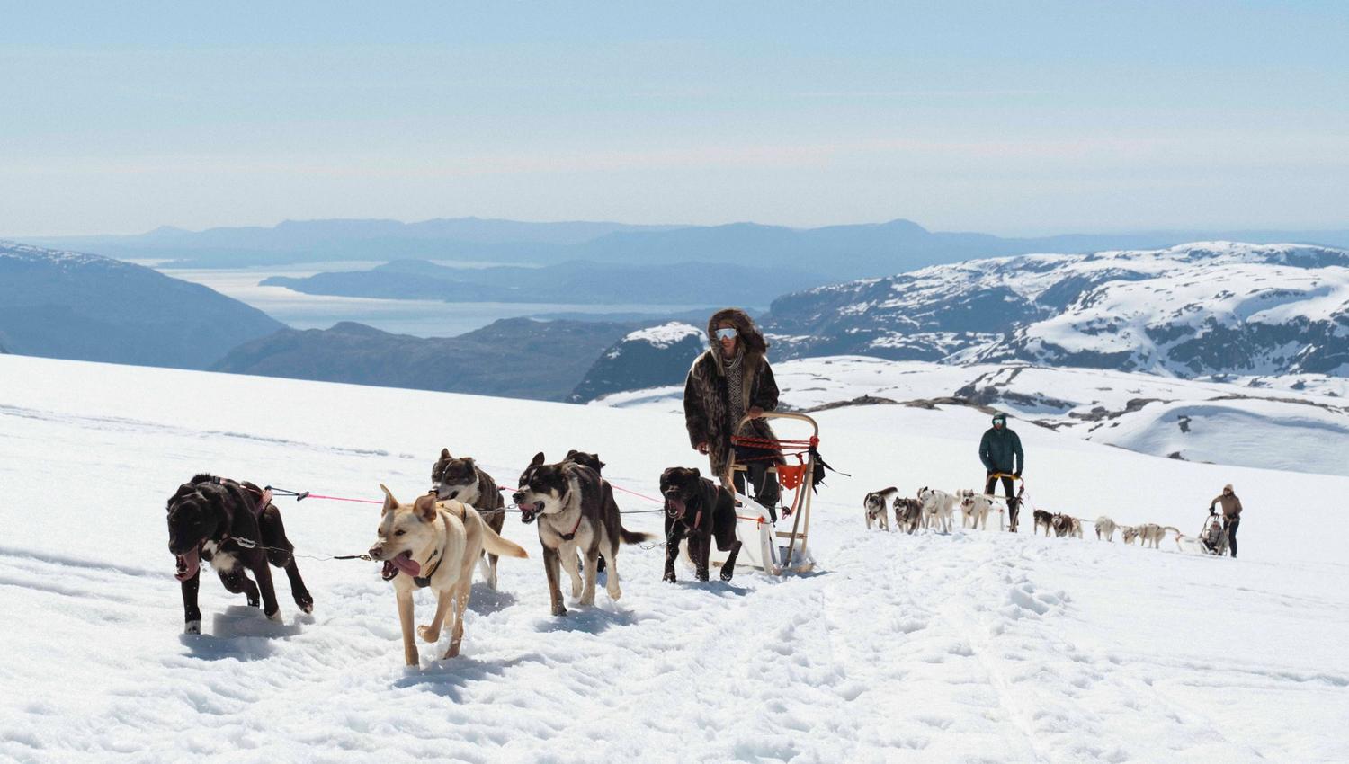 Et hundespann kjører gjennom snødekte fjell på folgefonna med en vakker utsikt over hardangerfjorden og fjell i bakgrunnen.