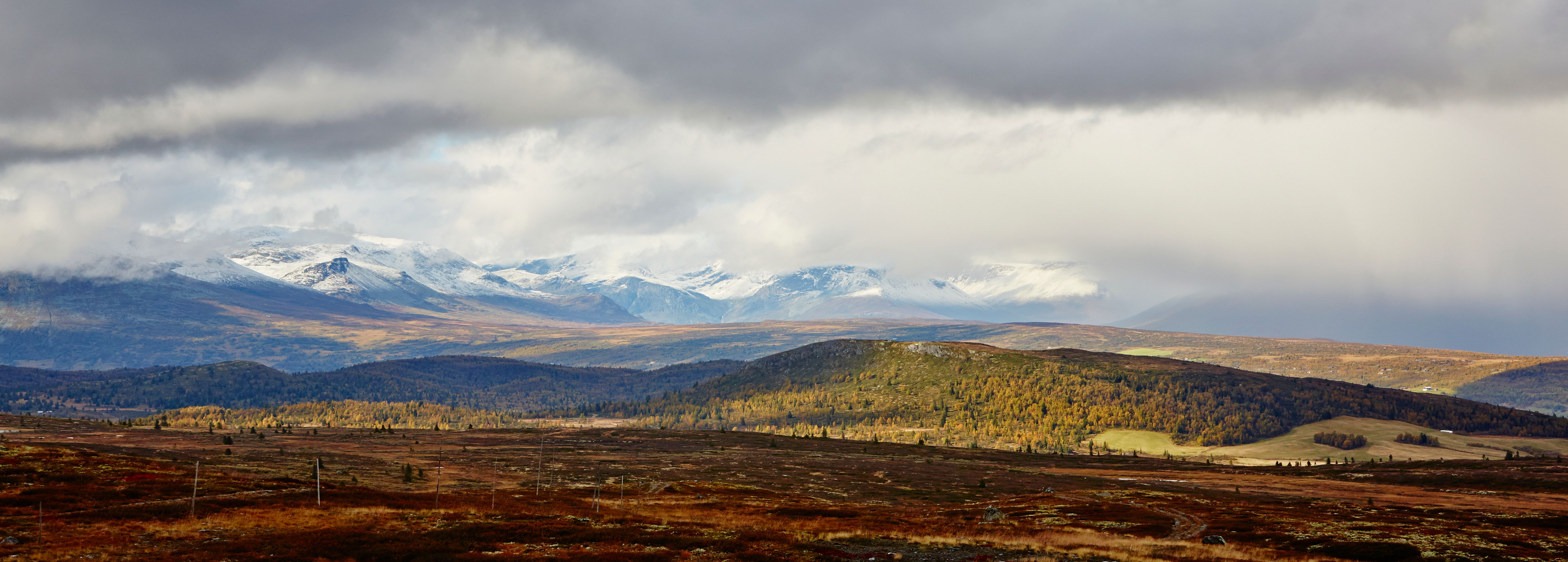 Golsfjellet