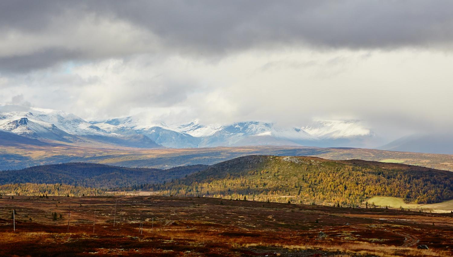Golsfjellet