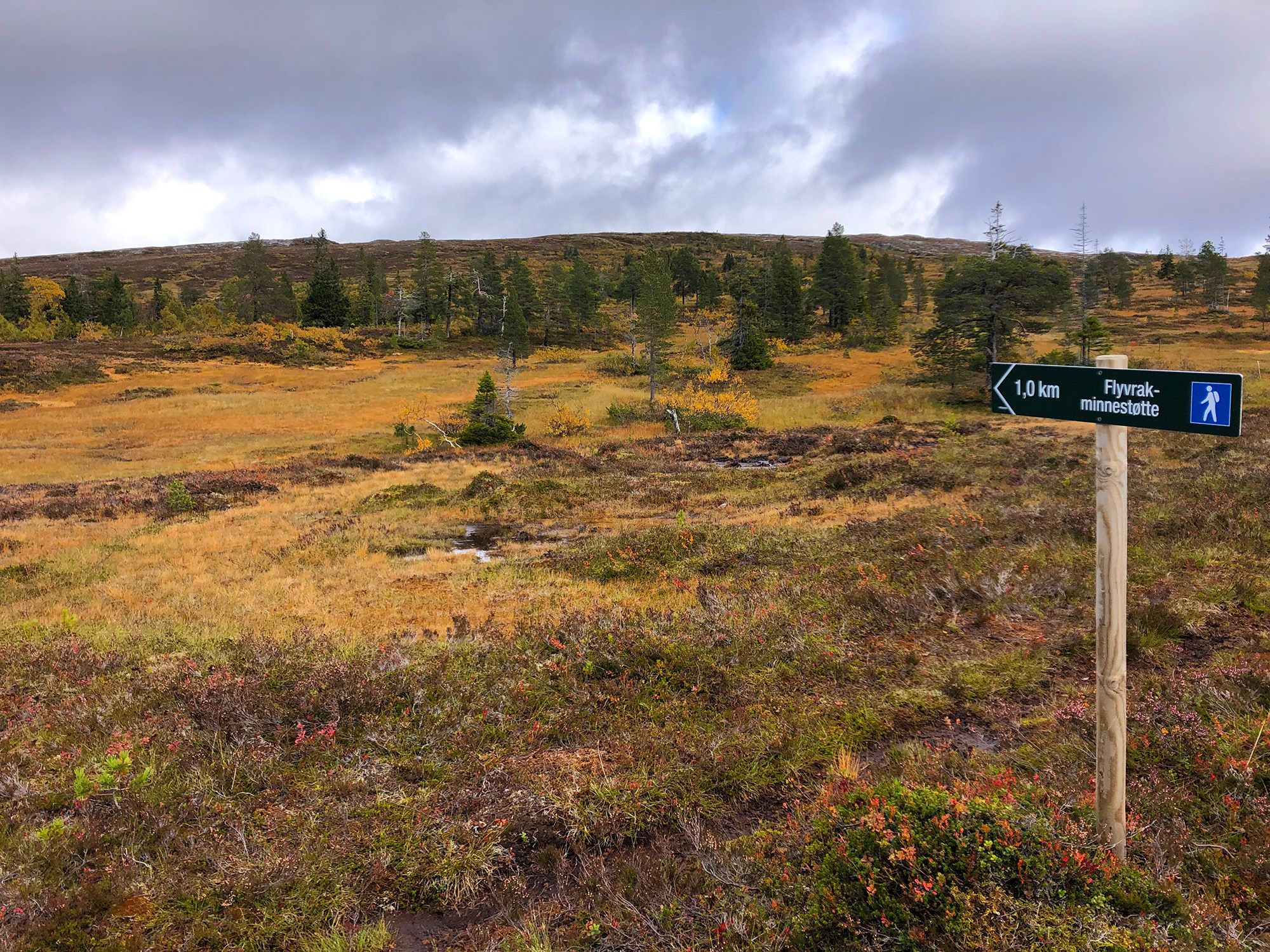 Snåsa Plukktjønnfjellet tur 2021 Foto Linn Marita Larsson (9)