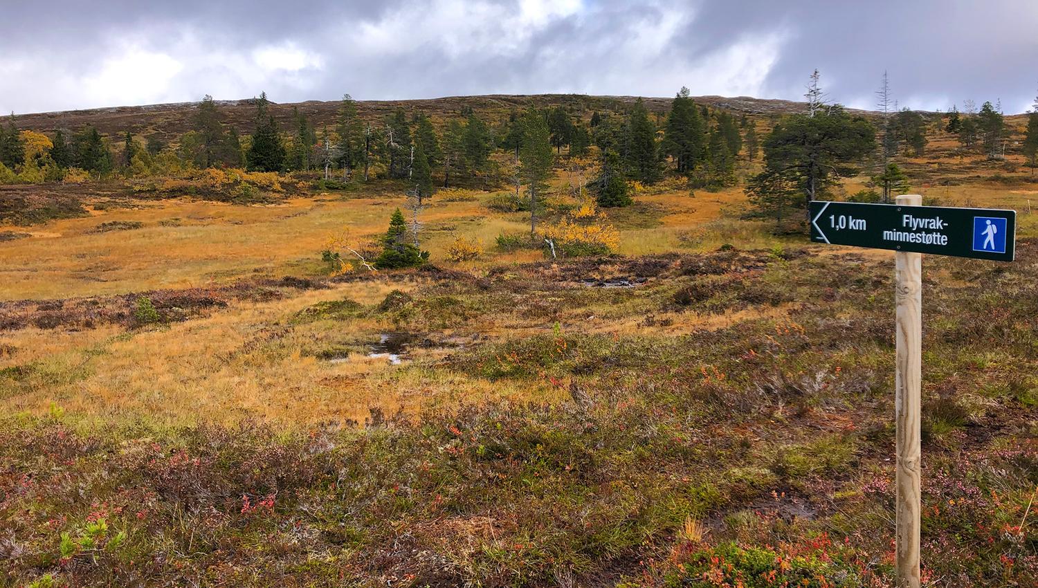 Snåsa Plukktjønnfjellet tur 2021 Foto Linn Marita Larsson (9)
