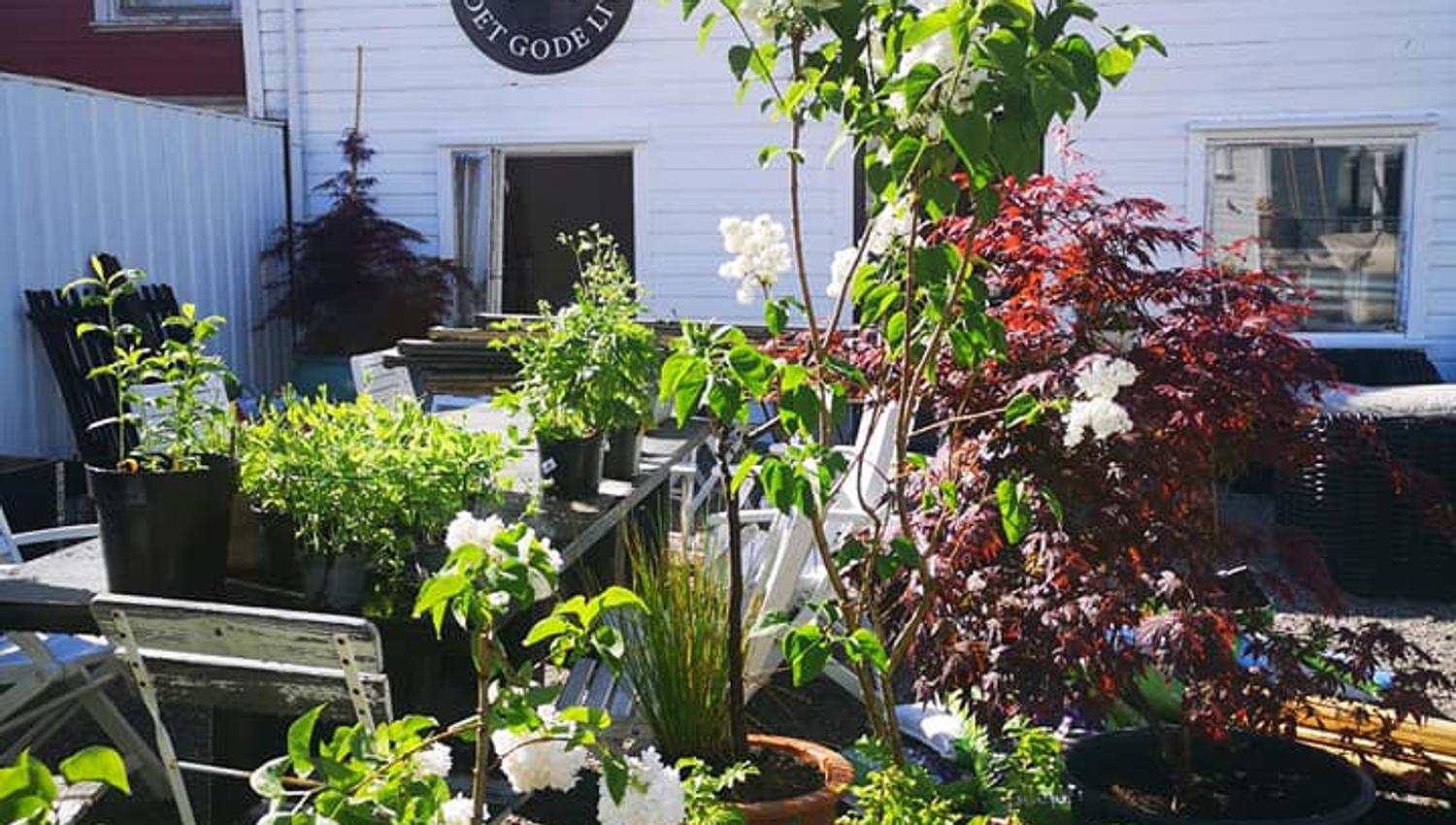 Posebyhaven Fridolins