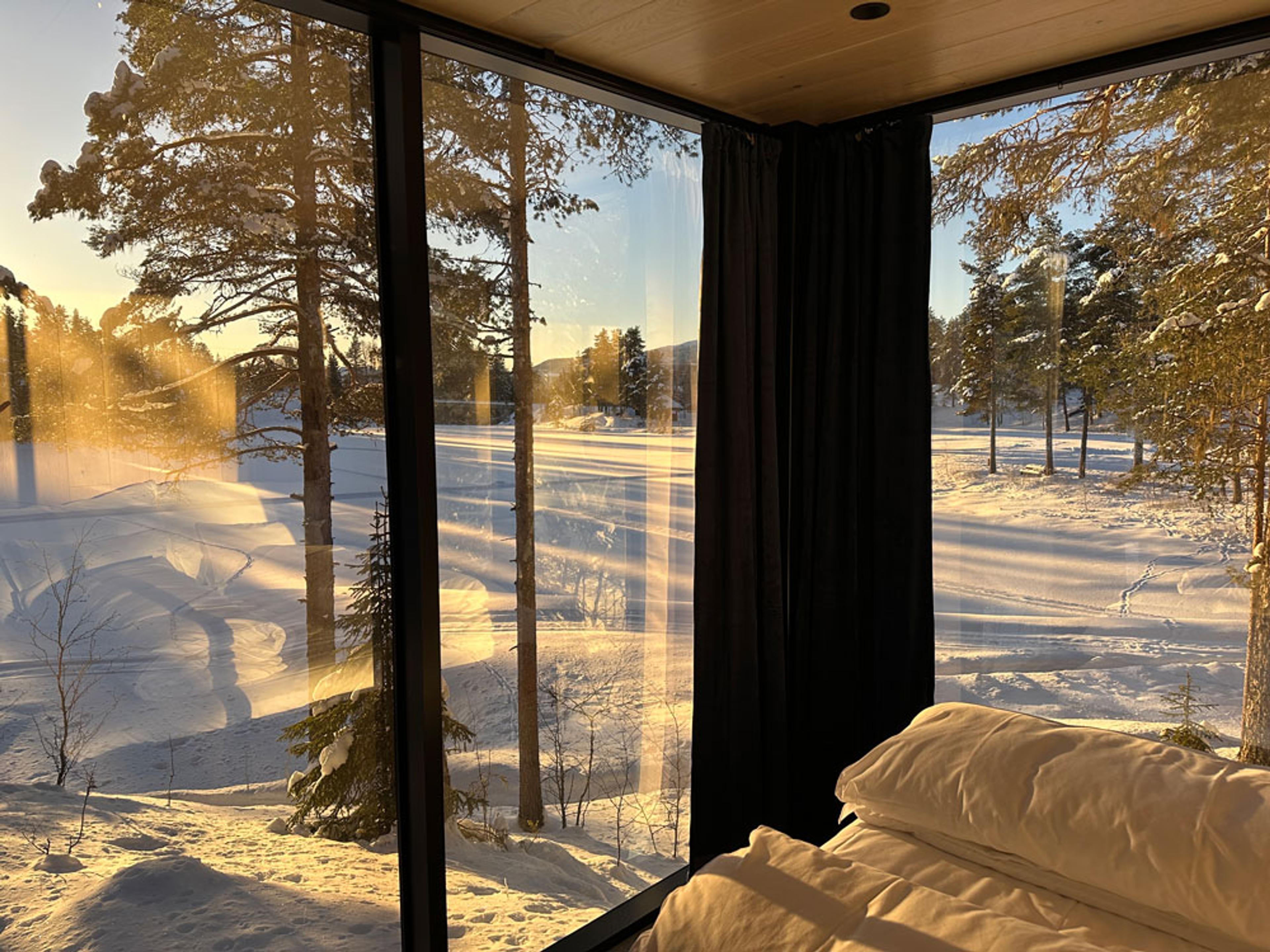 view from the cabin at Spegle's