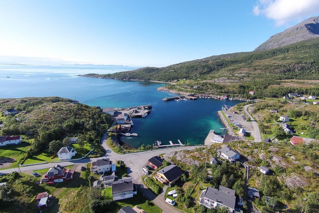 fugleperspektiv av bygda ved fjorden