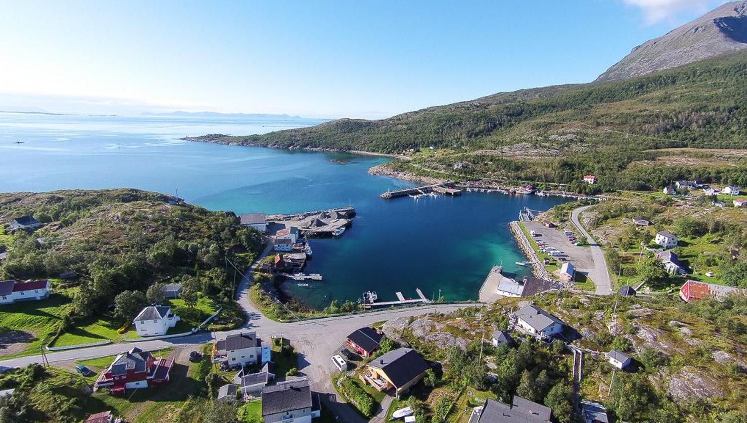 fugleperspektiv av bygda ved fjorden