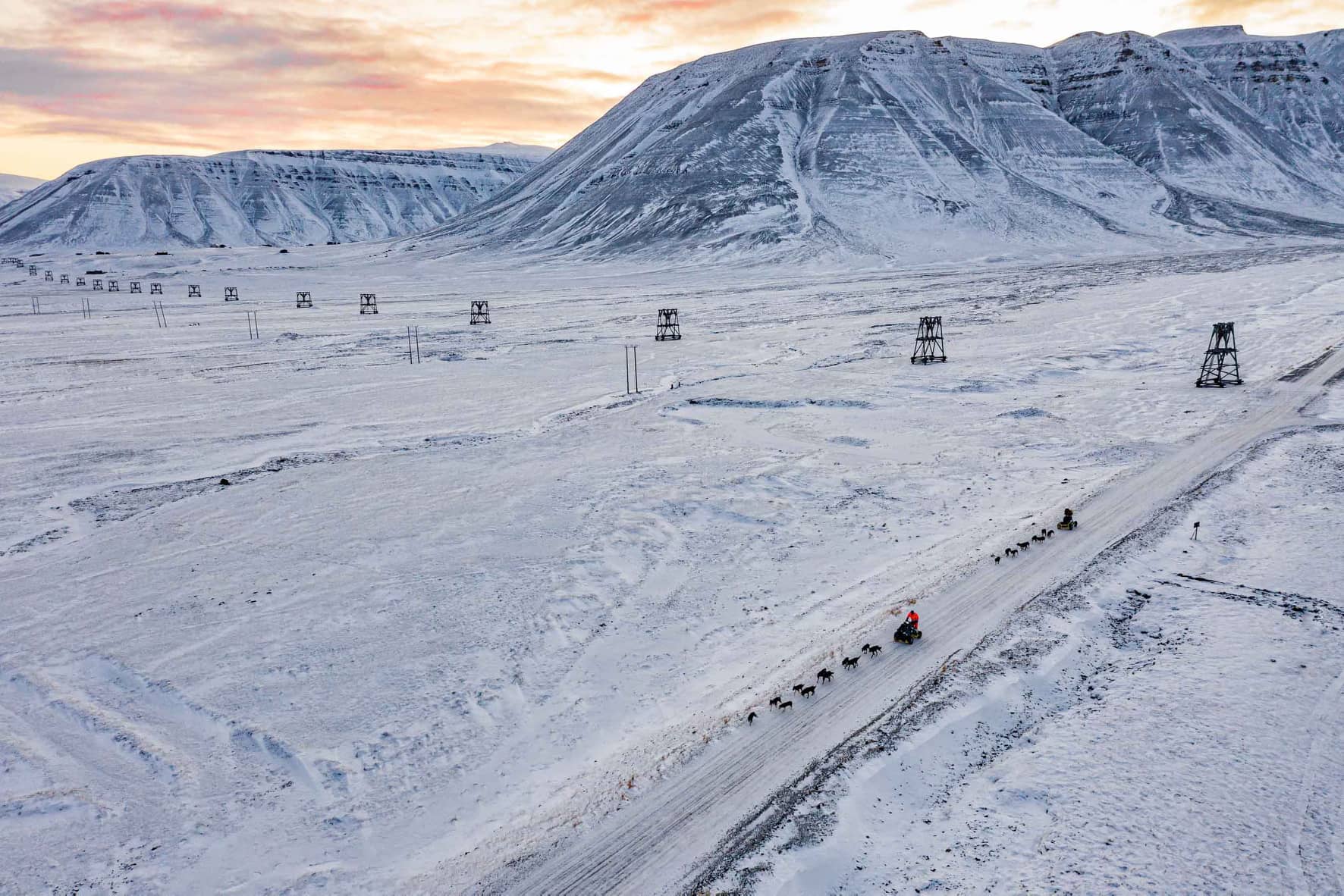 Two dog wagons driving along a road in a frozen landscape