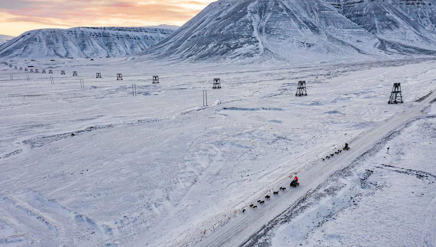 Two dog wagons driving along a road in a frozen landscape