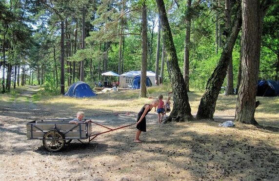 Personer på campingplassen