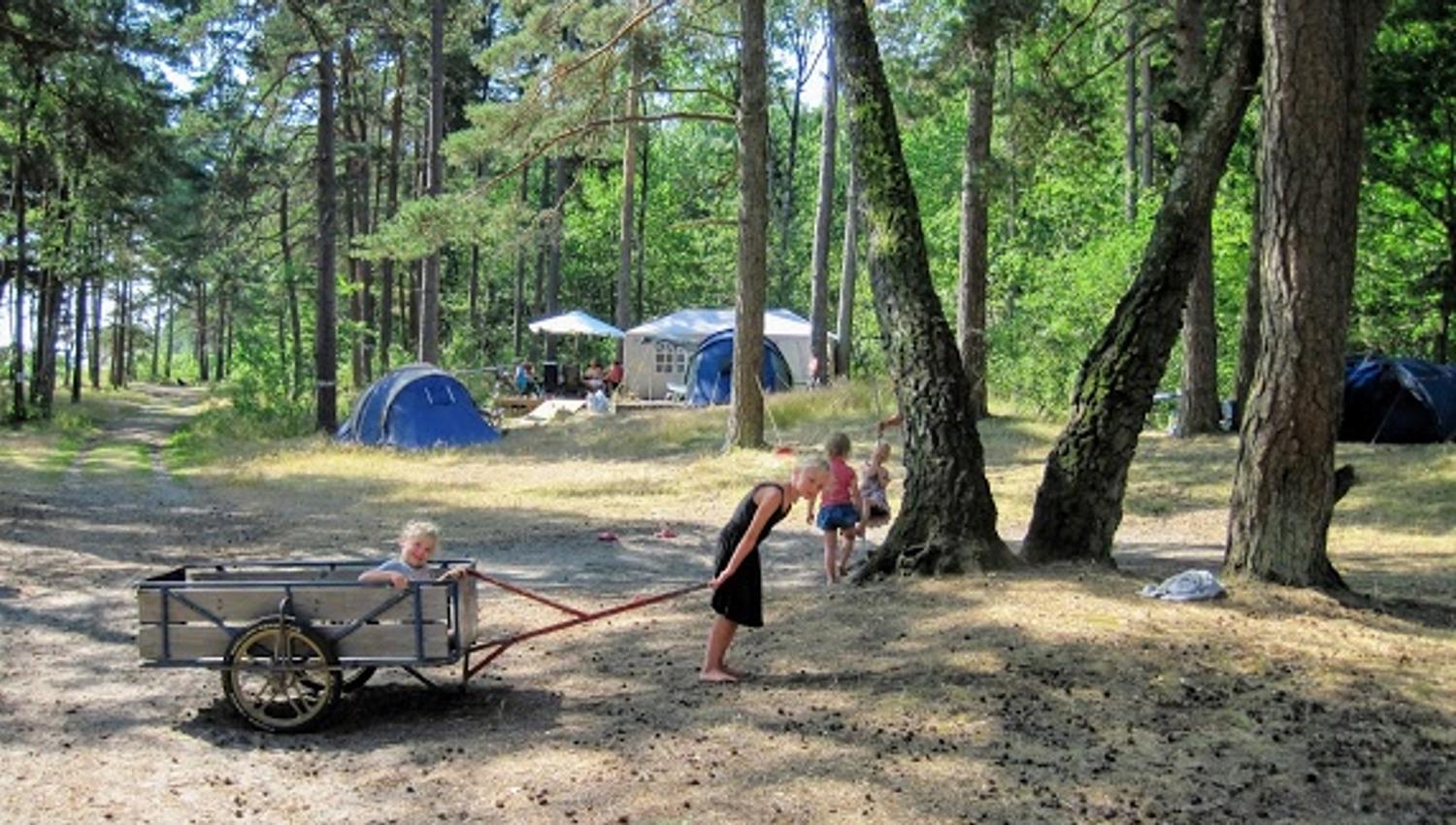 Personer på campingplassen