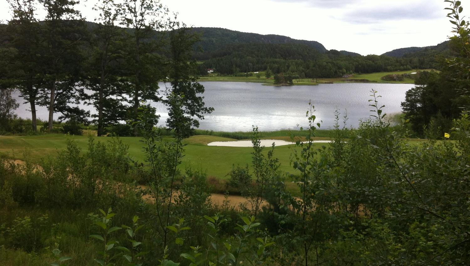Landskap med gress med vann midt i og skog bak