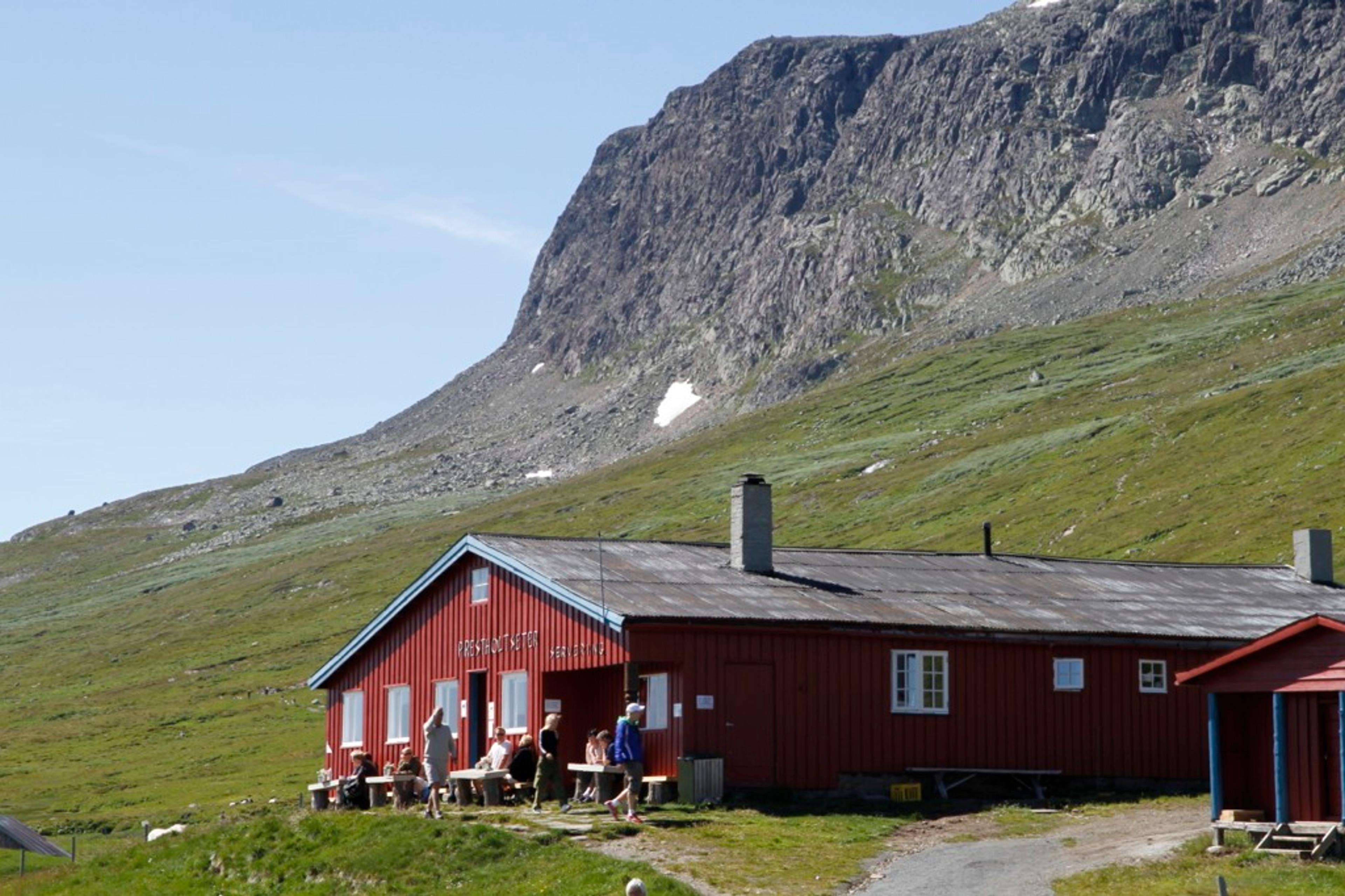 Prestholtseter - sommer