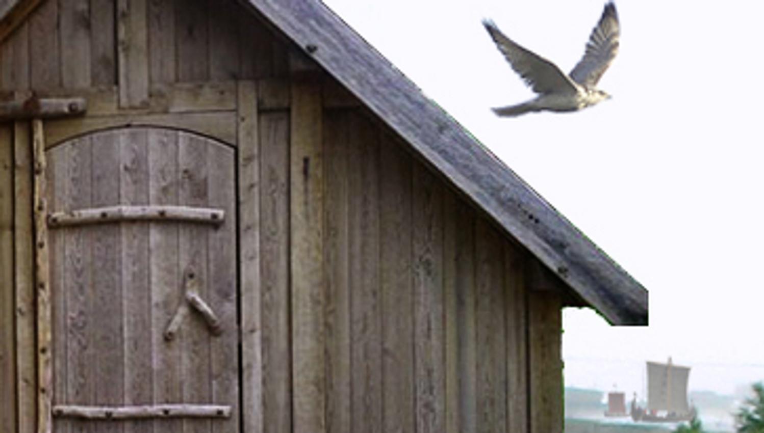 Bird flies over the roof of a small house