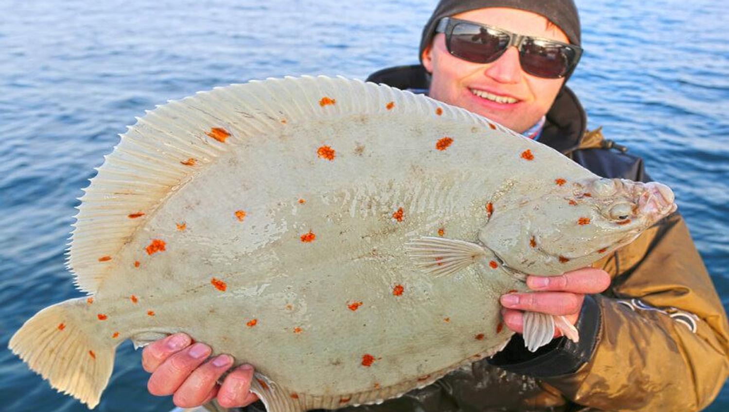 Man holding a fish on a fishing trip with Explore the Arctic