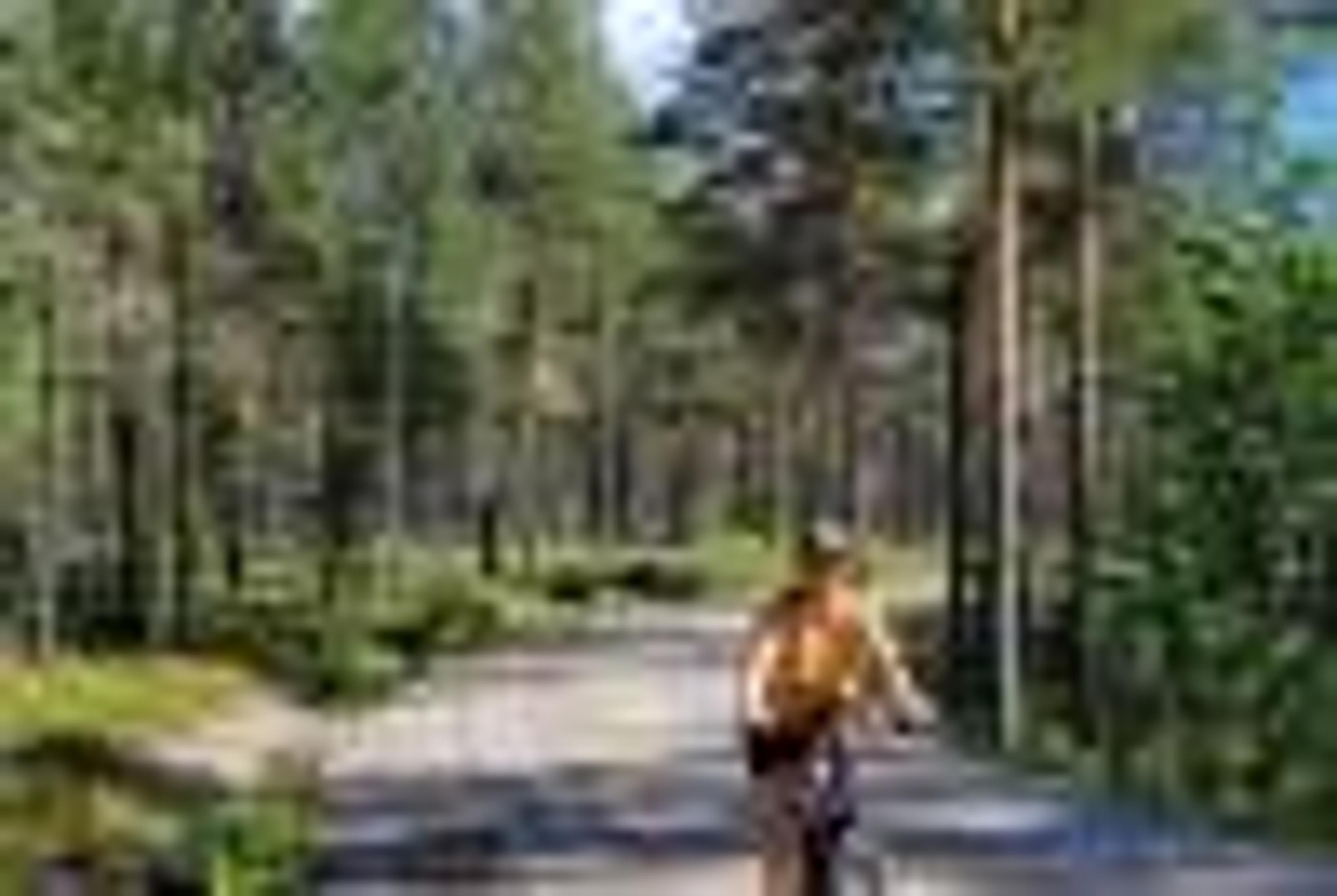 Villmarksruta - Svullrya