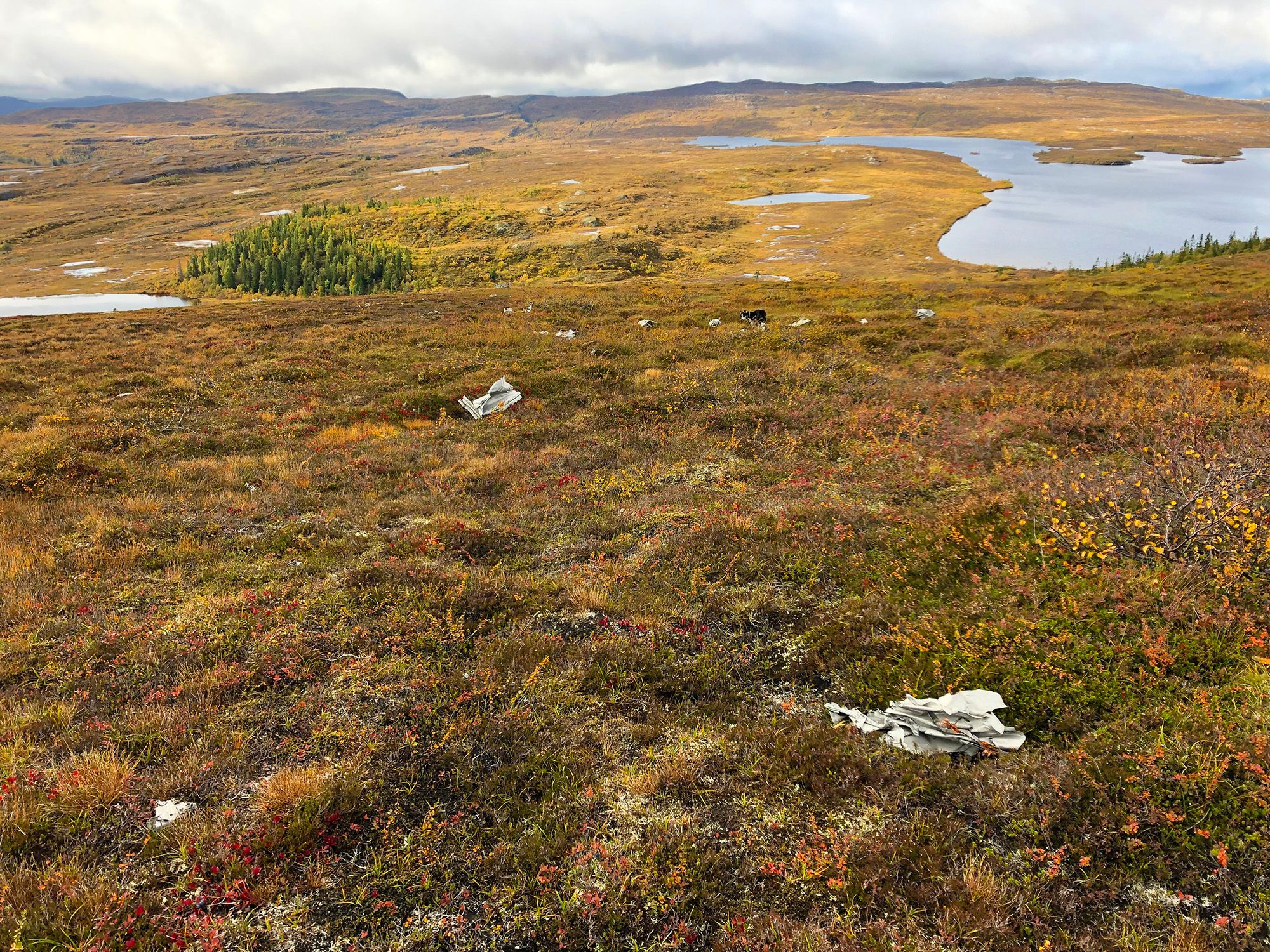 Snåsa Plukktjønnfjellet tur 2021 Foto Linn Marita Larsson (12)