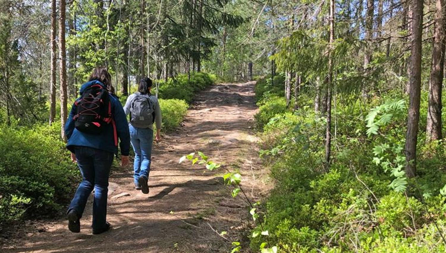 Sti på vei mot Mikaelshulen