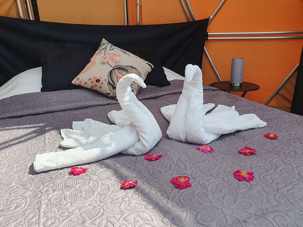 towel swans on the bed at Arctic dome glamping tent at Norsjø Ferieland 