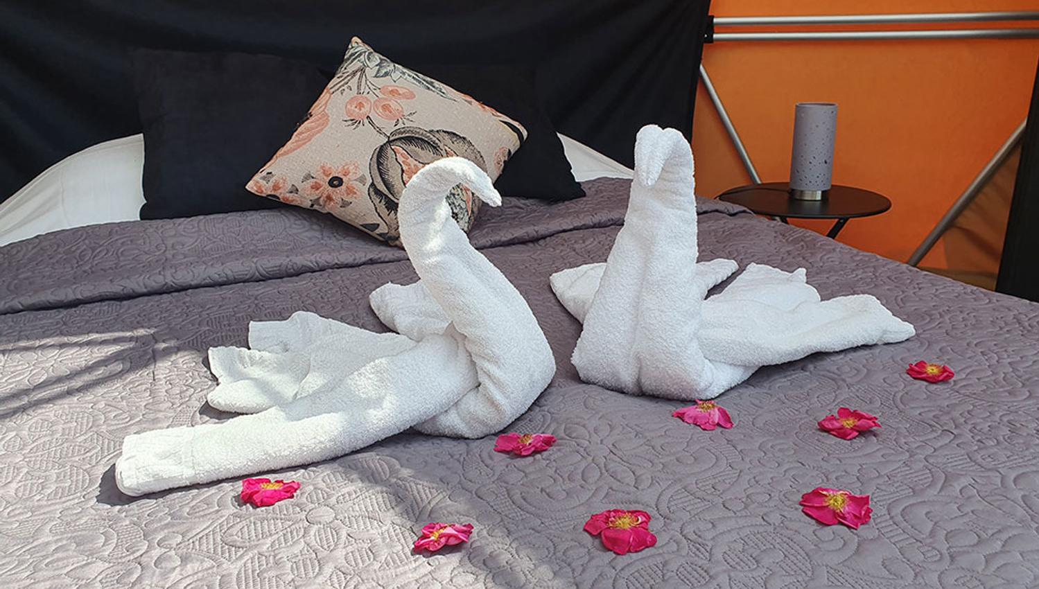 towel swans on the bed at Arctic dome glamping tent at Norsjø Ferieland