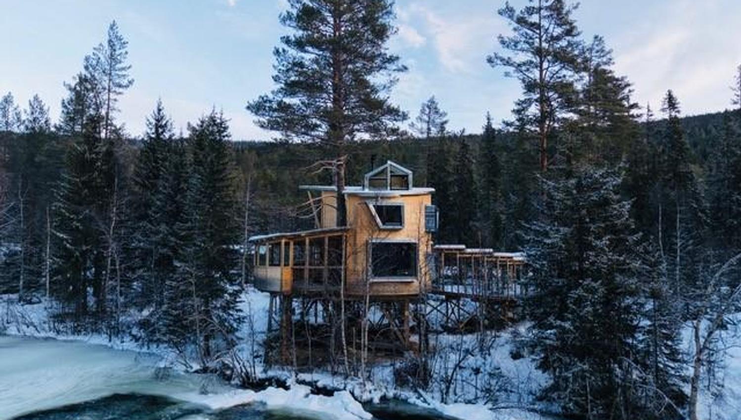 tretopphytte på Å Camp