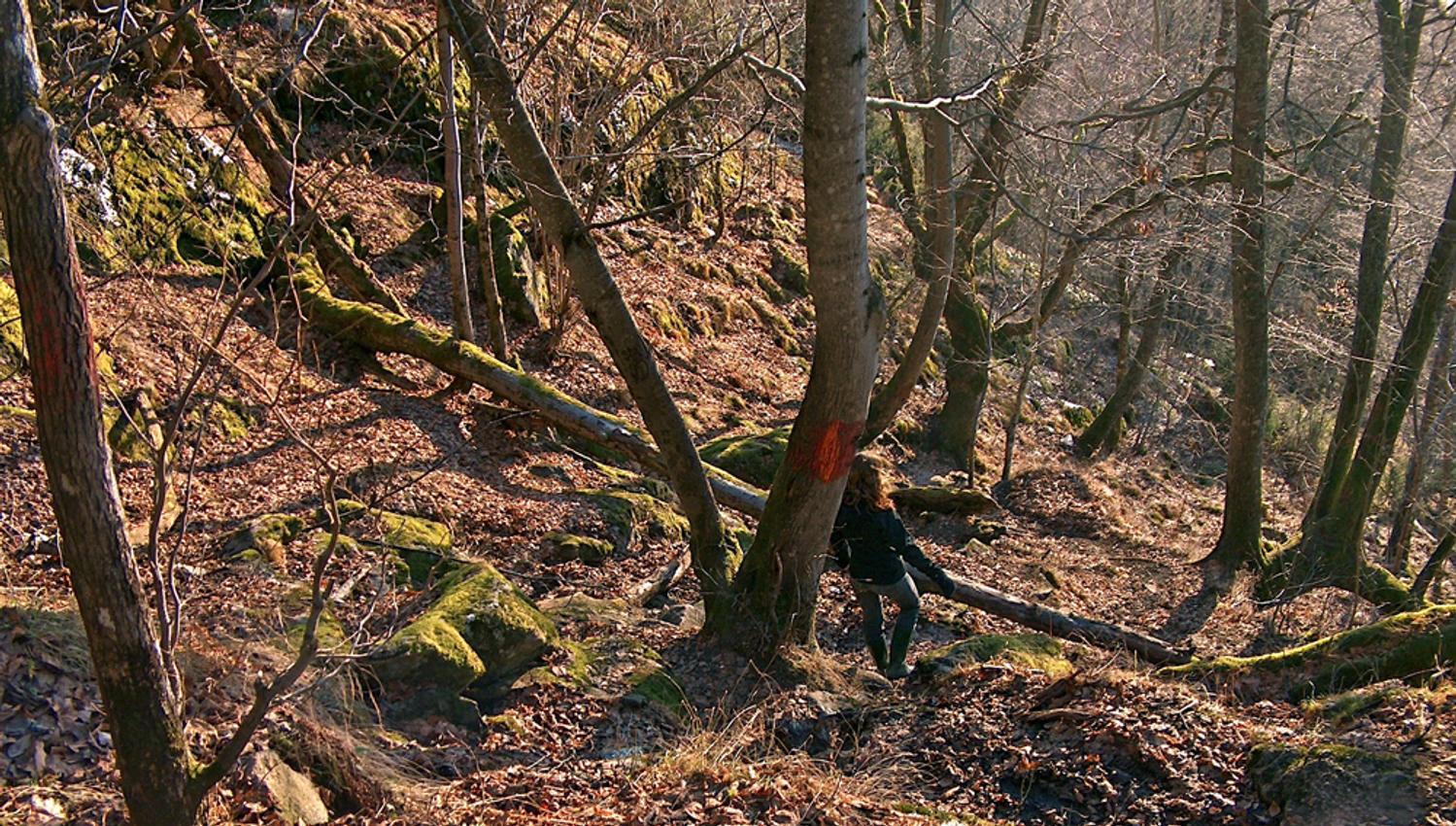 Bratt stigning til Tjovhola