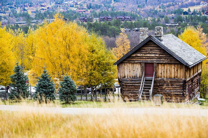 The house at Geilojordet and trees in autumn colours. 