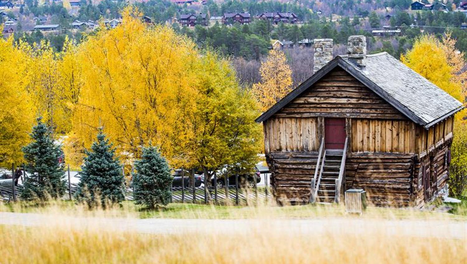 The house at Geilojordet and trees in autumn colours.