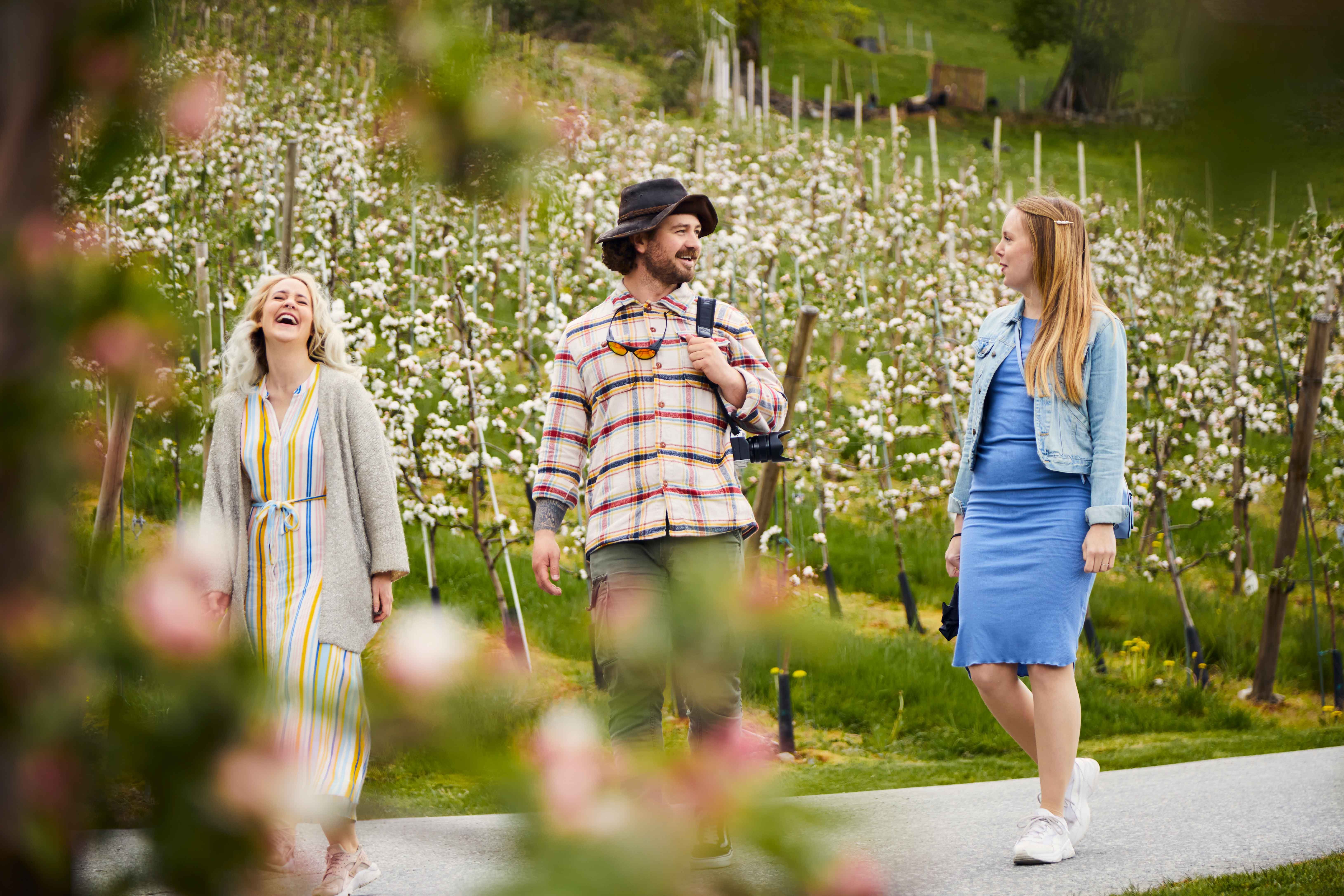 Tre personar går gjennom ein blomstrande frukthage i Ulvik.