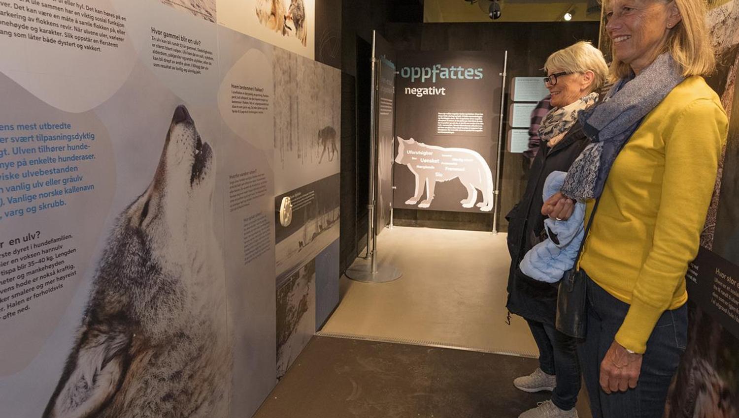 Guidet tur på Norsk Skogmuseum i Elverum