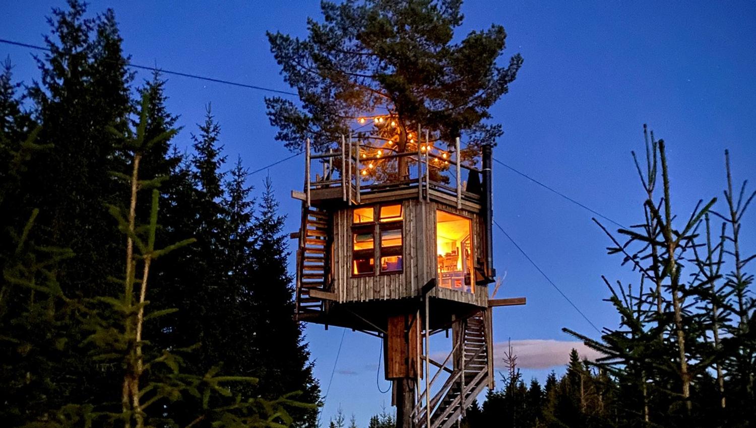 Tretopphytter Brumunddal