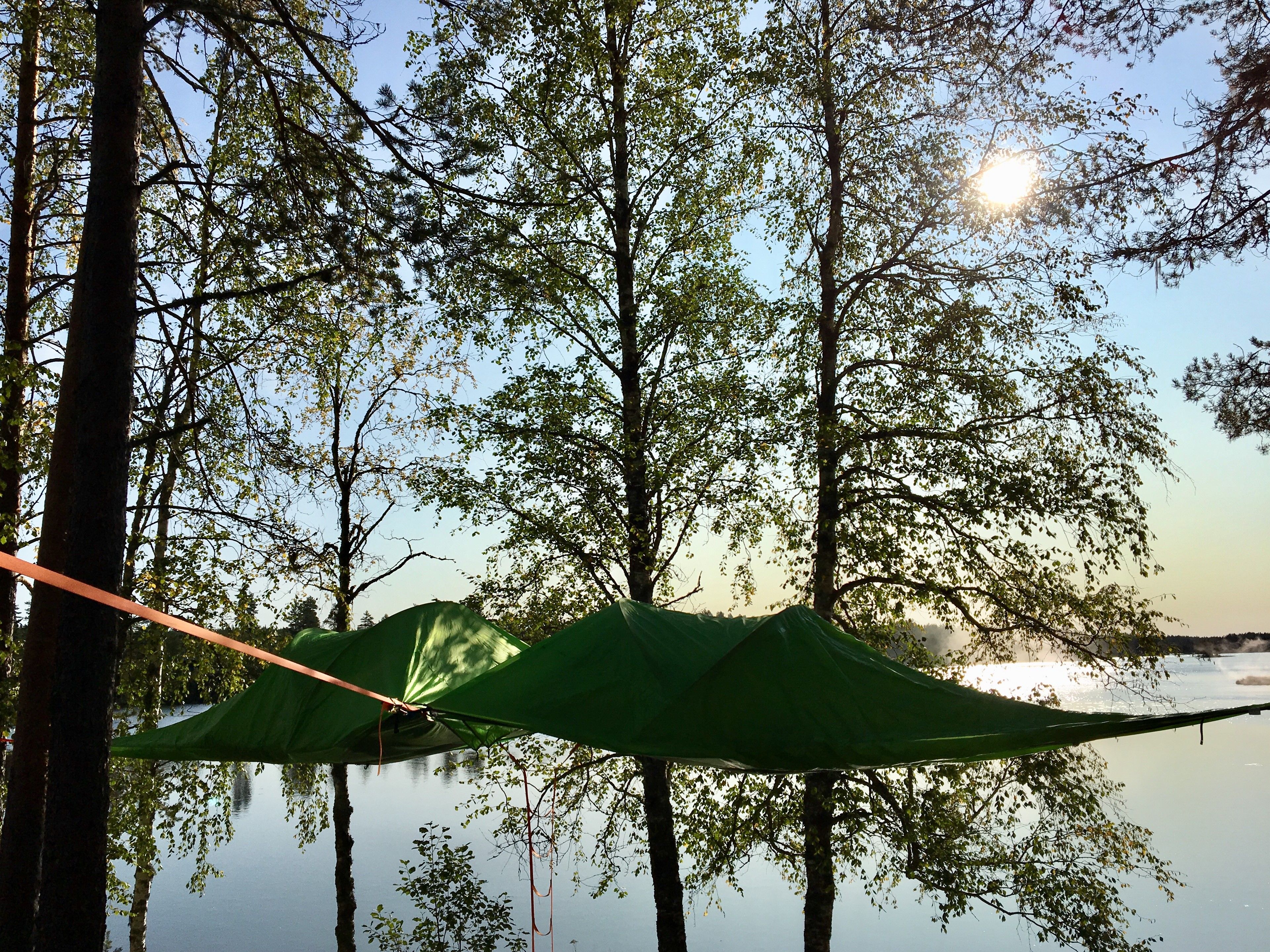 Tretelt ved Kynnsjøen