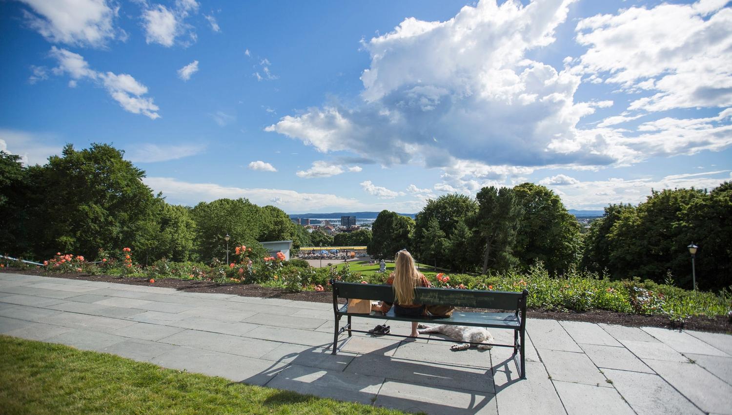 Dame som sitter på en parkbenk med en hund og ser på utsikten over byen