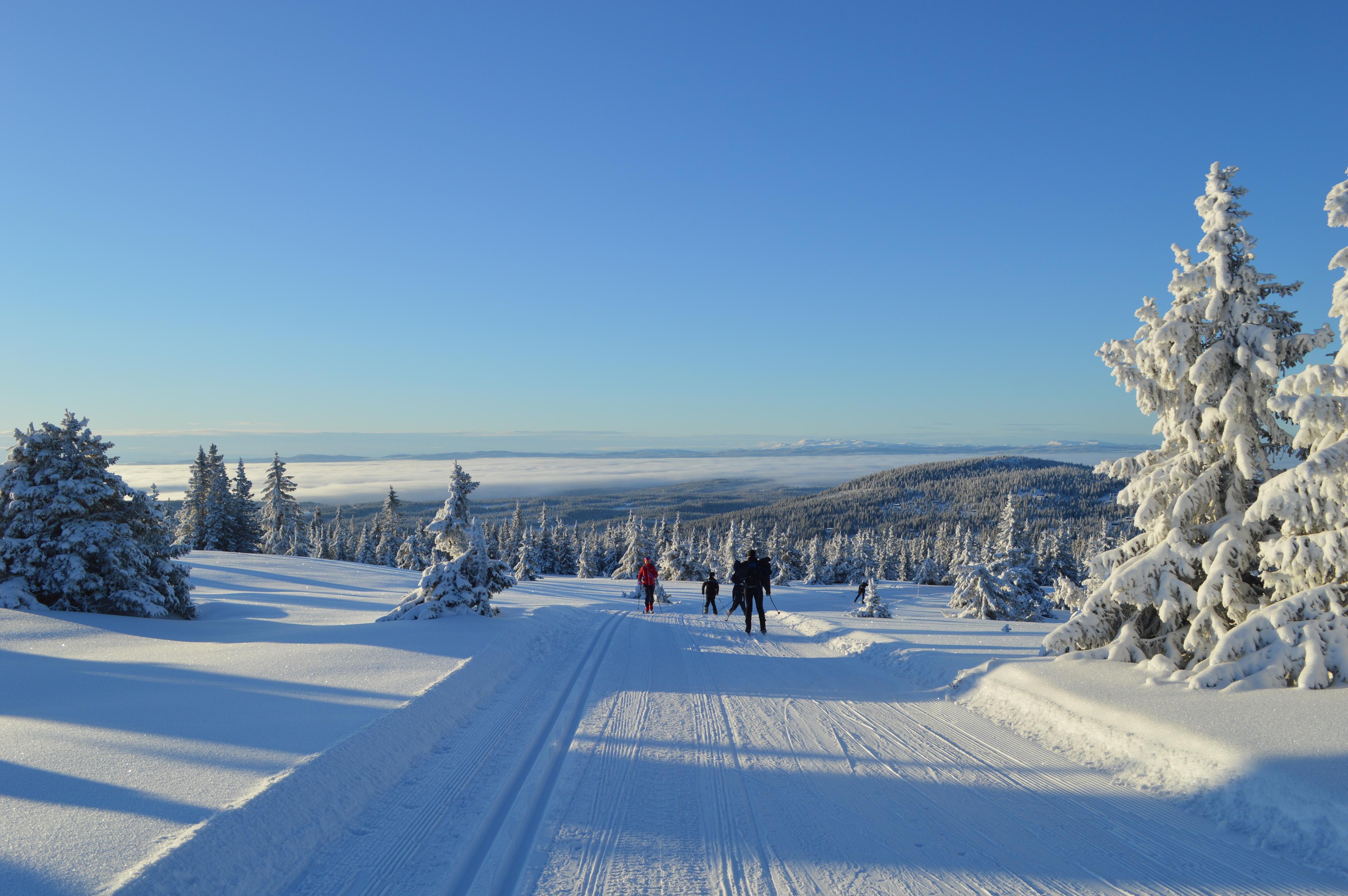 Nydelig vinterlandskap med langrennsløyper