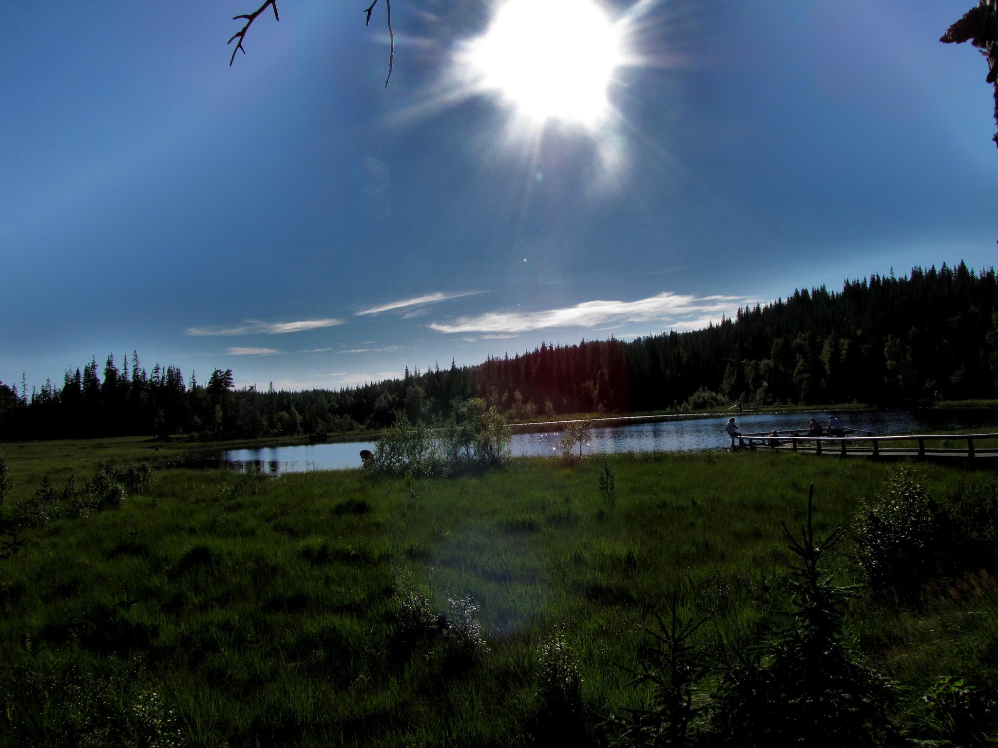 Trip Suggestion: Liatjønna/Lia Pond in Inderøy municipality