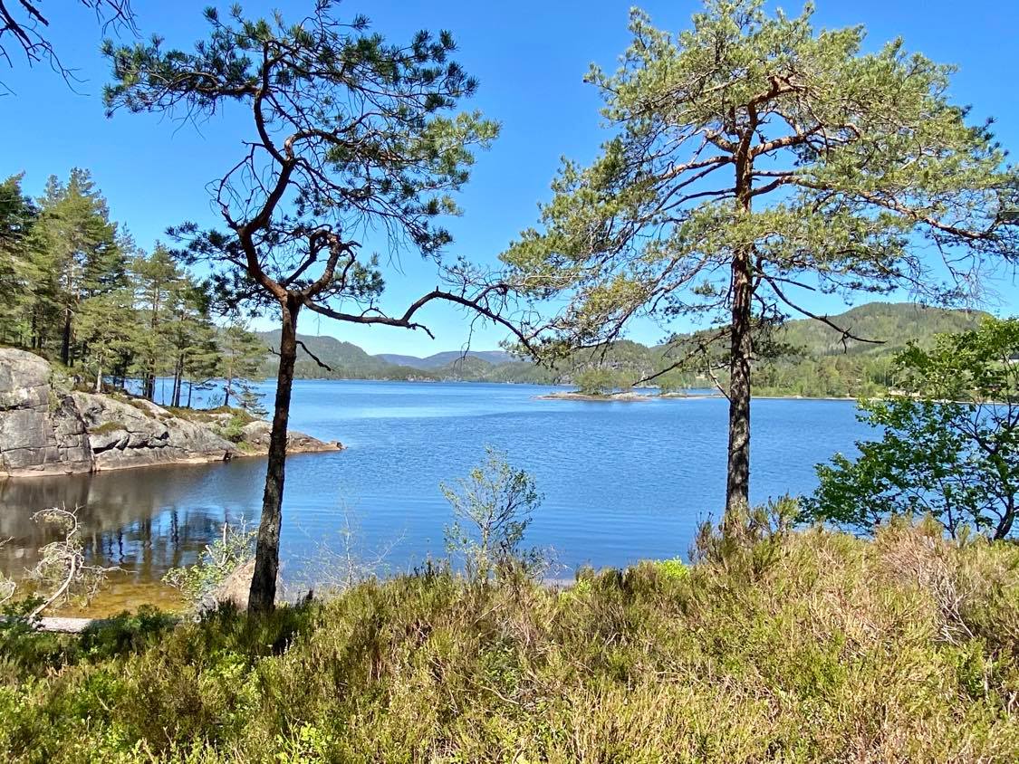 Øydnavatn i Konsmo i Lyngdal