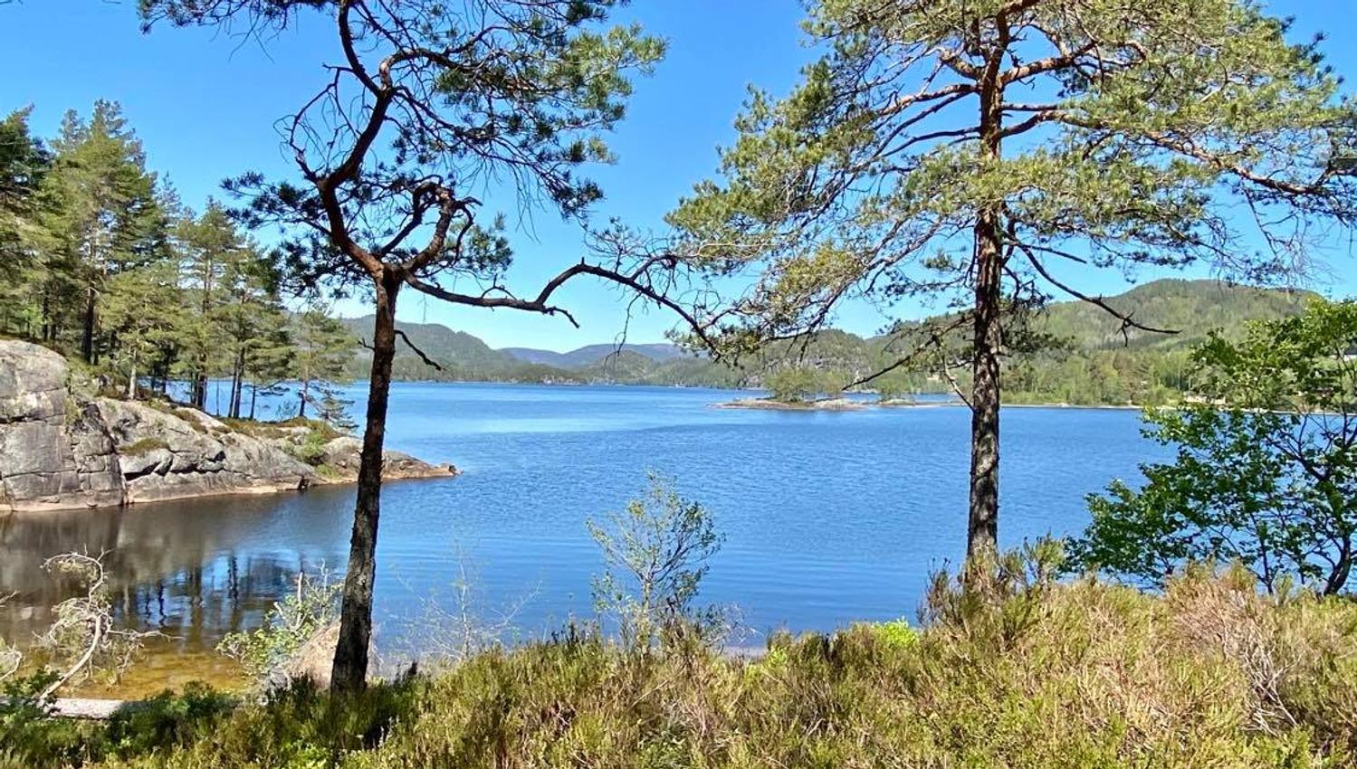 Øydnavatn i Konsmo i Lyngdal