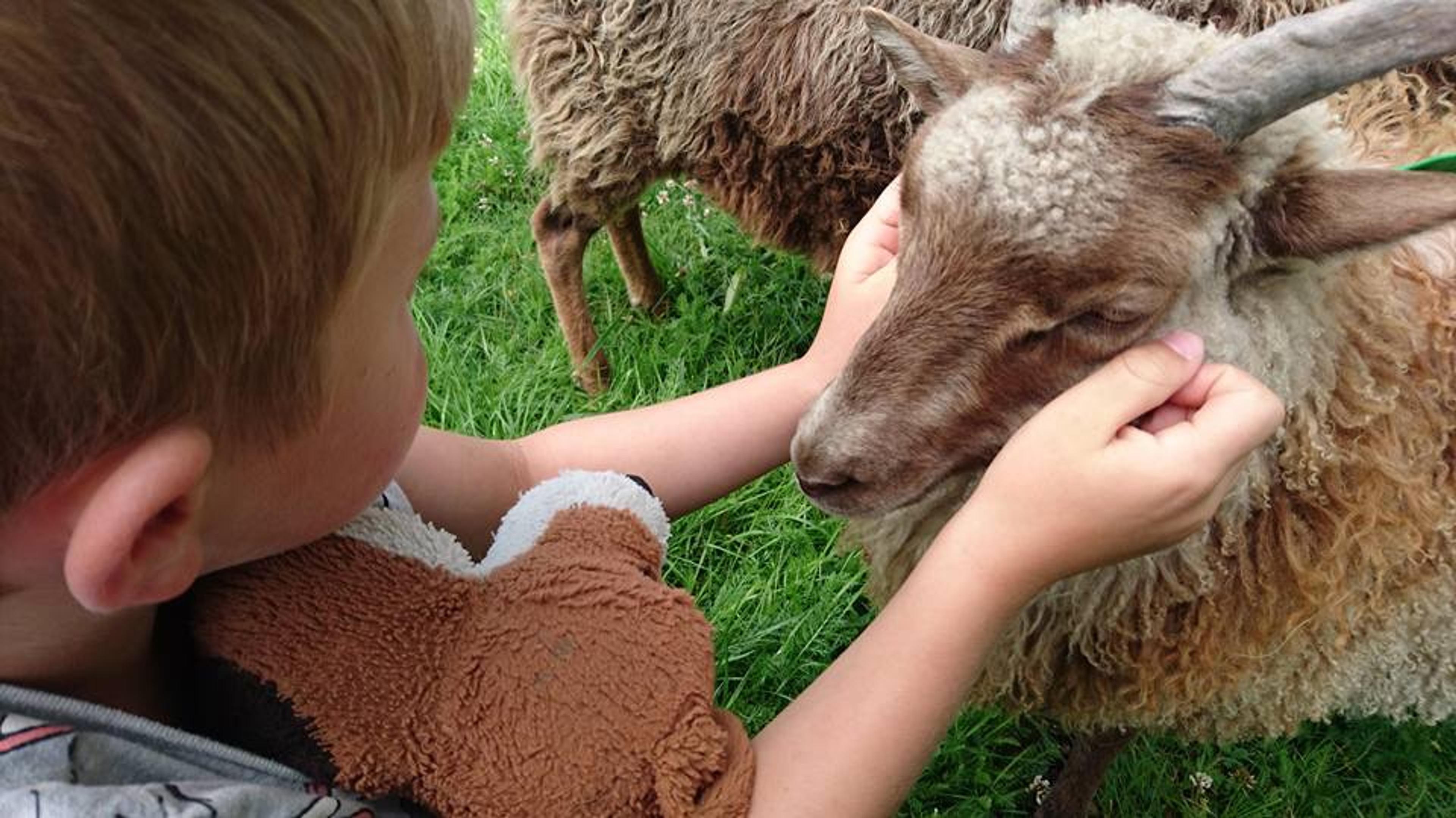 Someone who cuddles with a farm animal