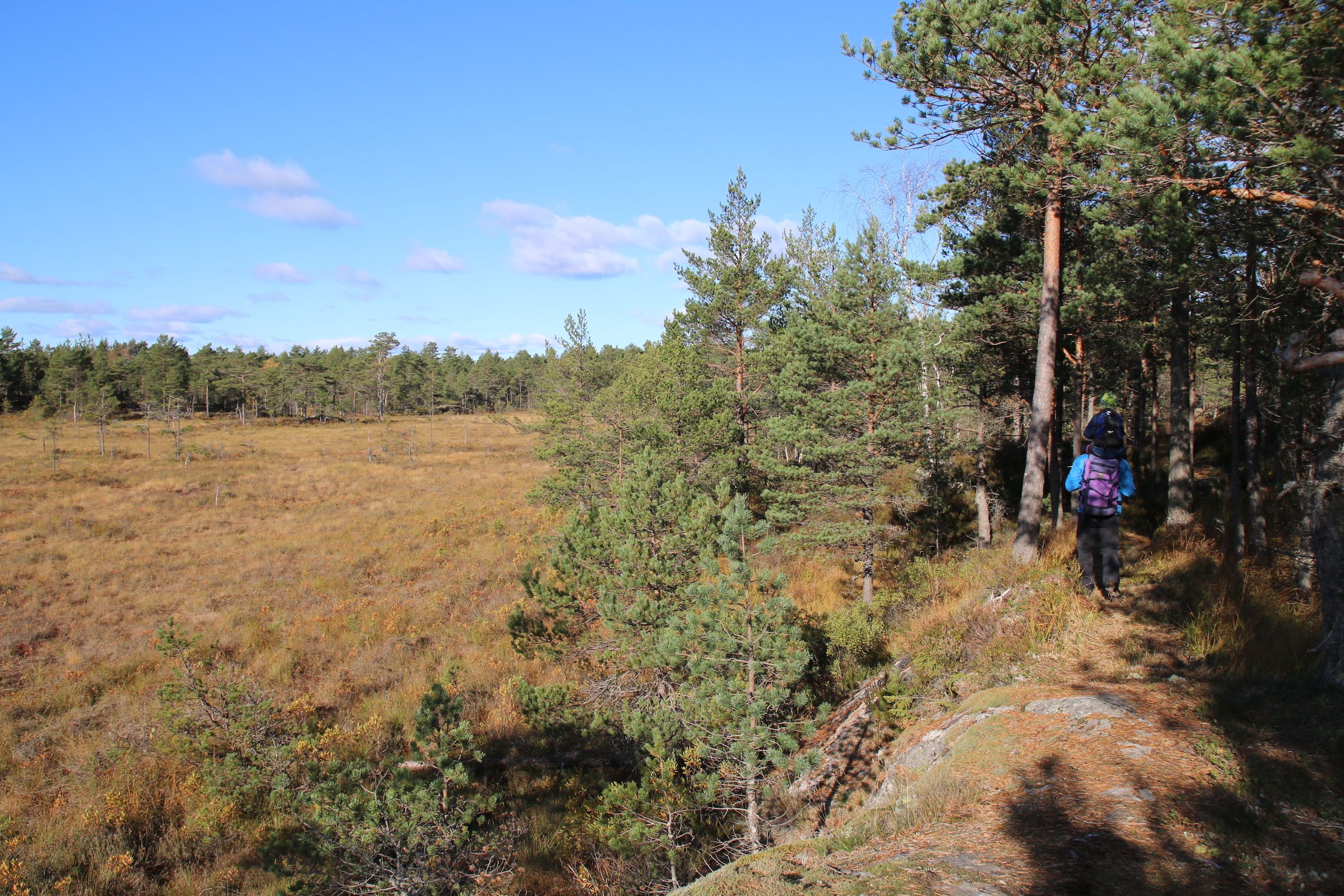 Person på tur langs myr