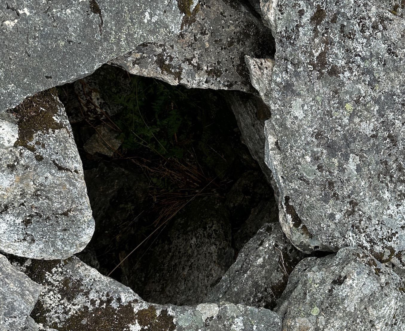 Hull hvor jegere gjemte seg for å fange ørn med hendene i gamle dager