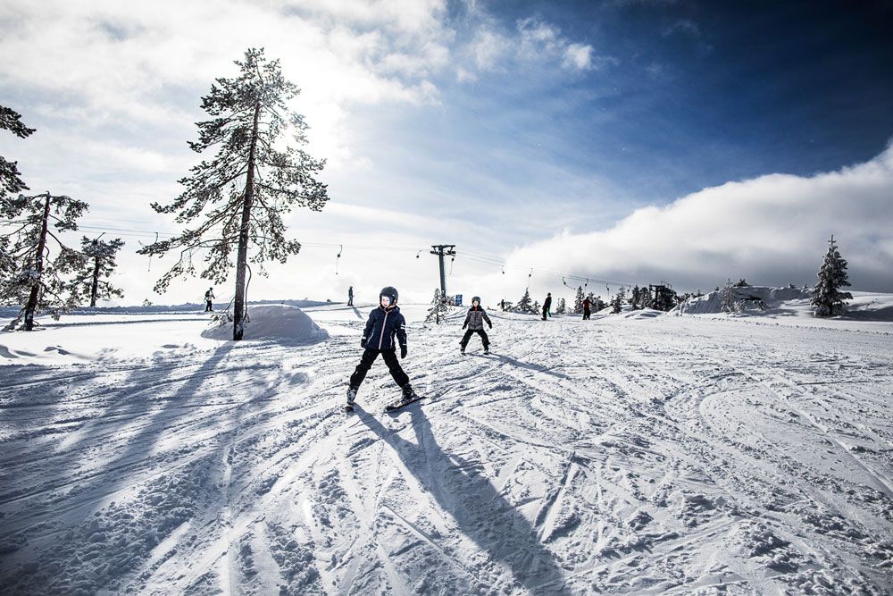 Barn på ski (2)
