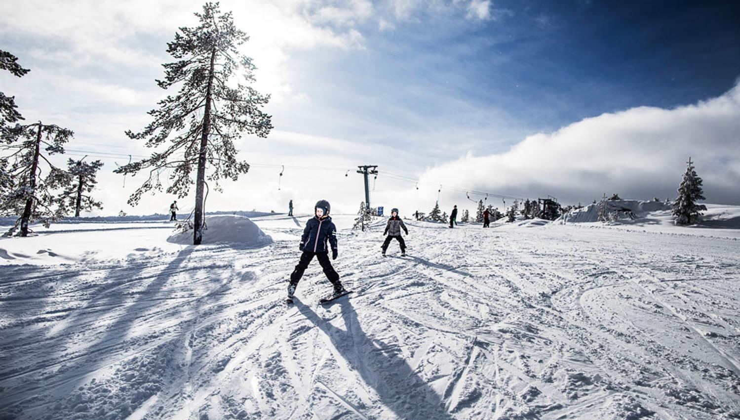 Barn på ski (2)