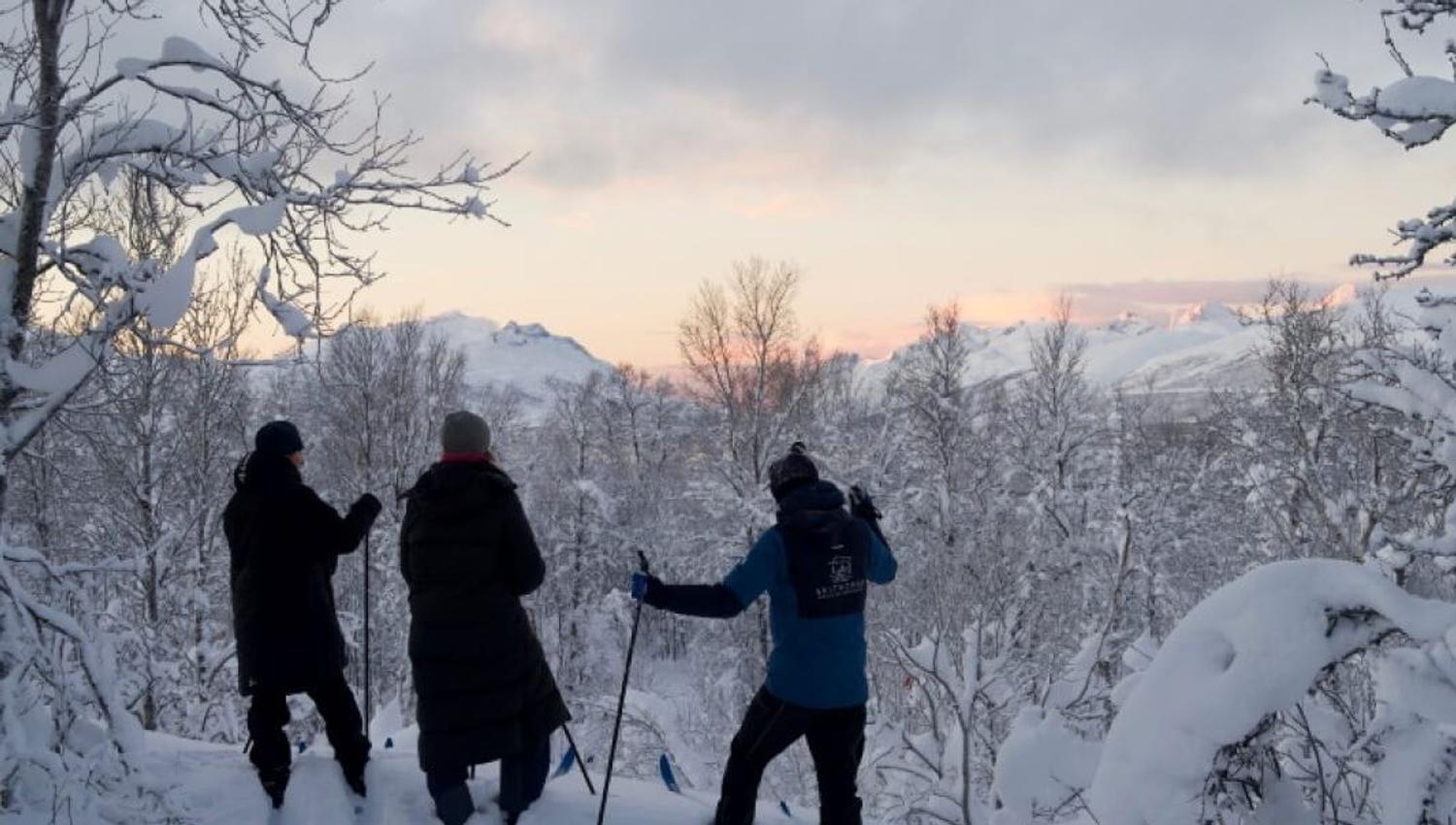 Utsikt over Tromsøya nært skiløypa