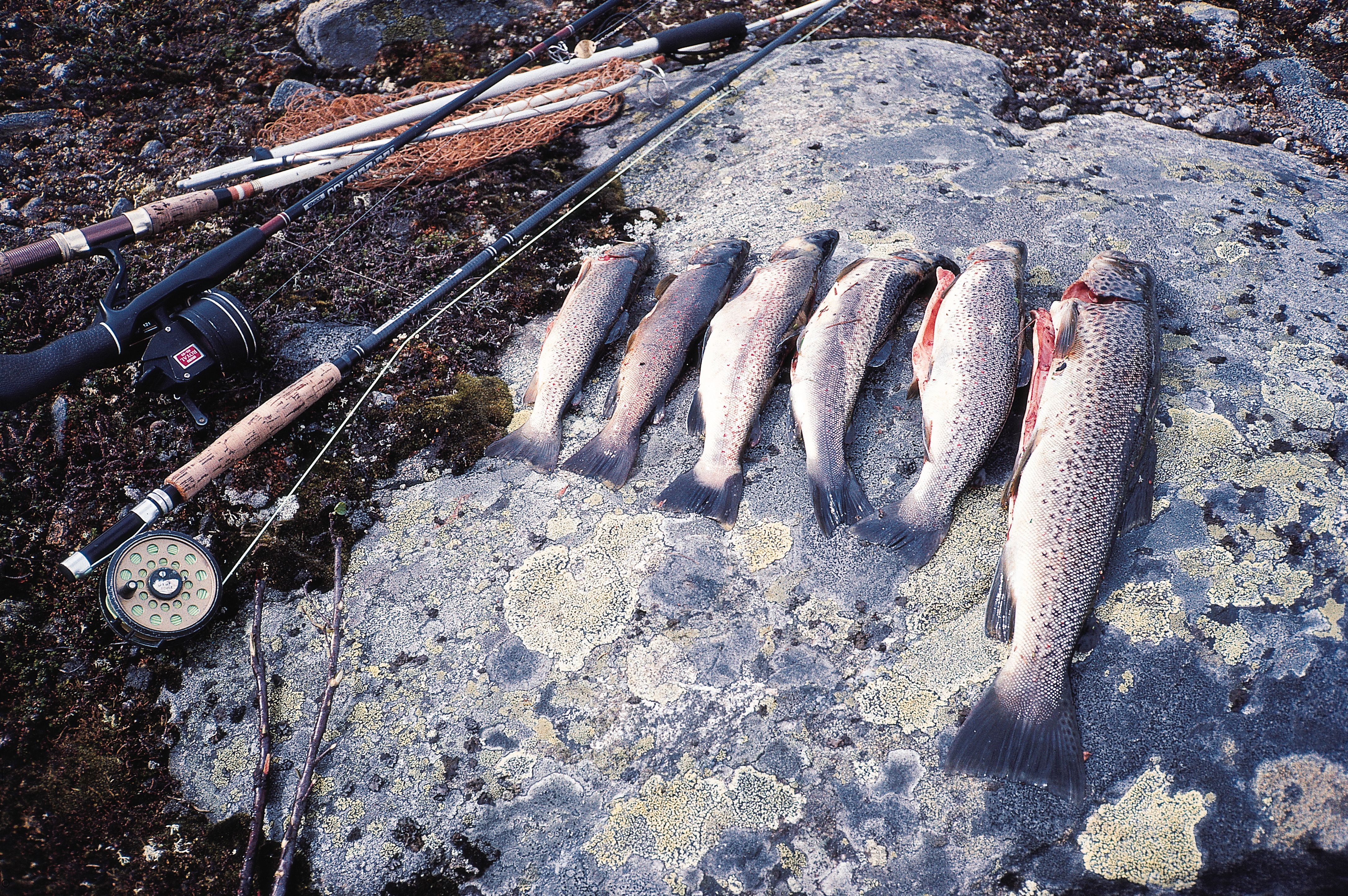 Fiske i Lærdal