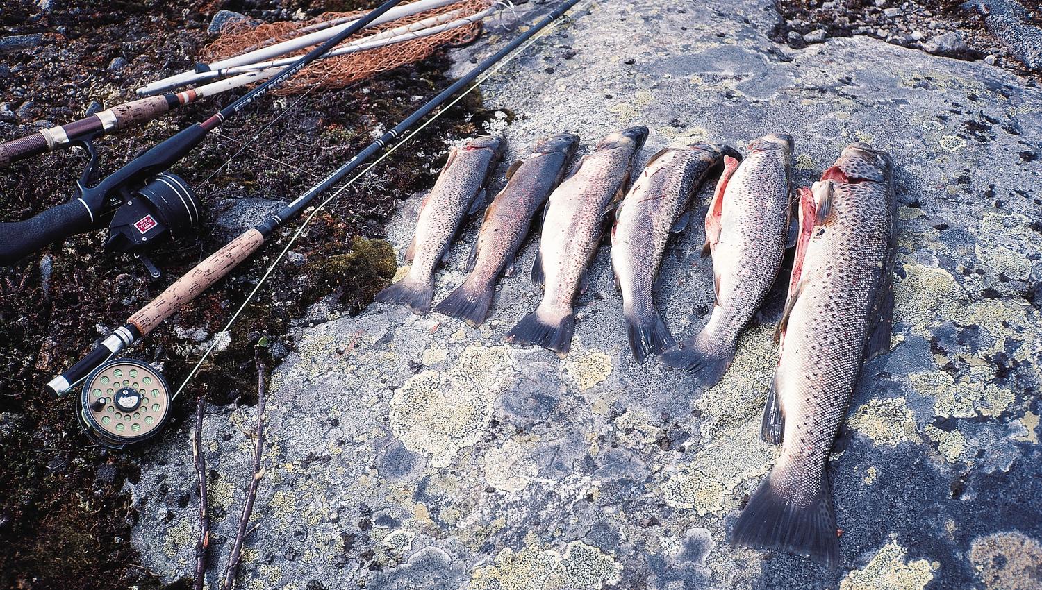 Fiske i Lærdal