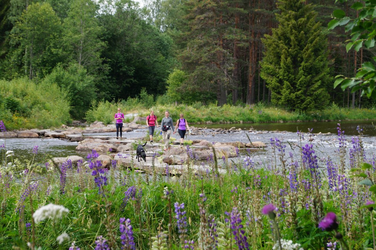 gruppe ungdommer som går Bufjordstigen på Dalen