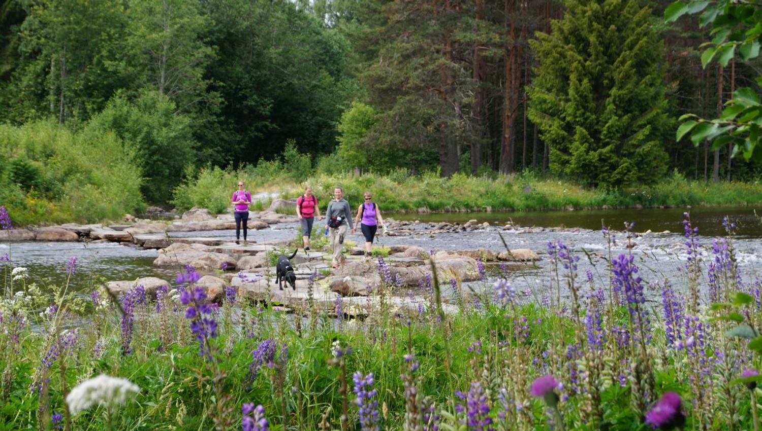 gruppe ungdommer som går Bufjordstigen på Dalen