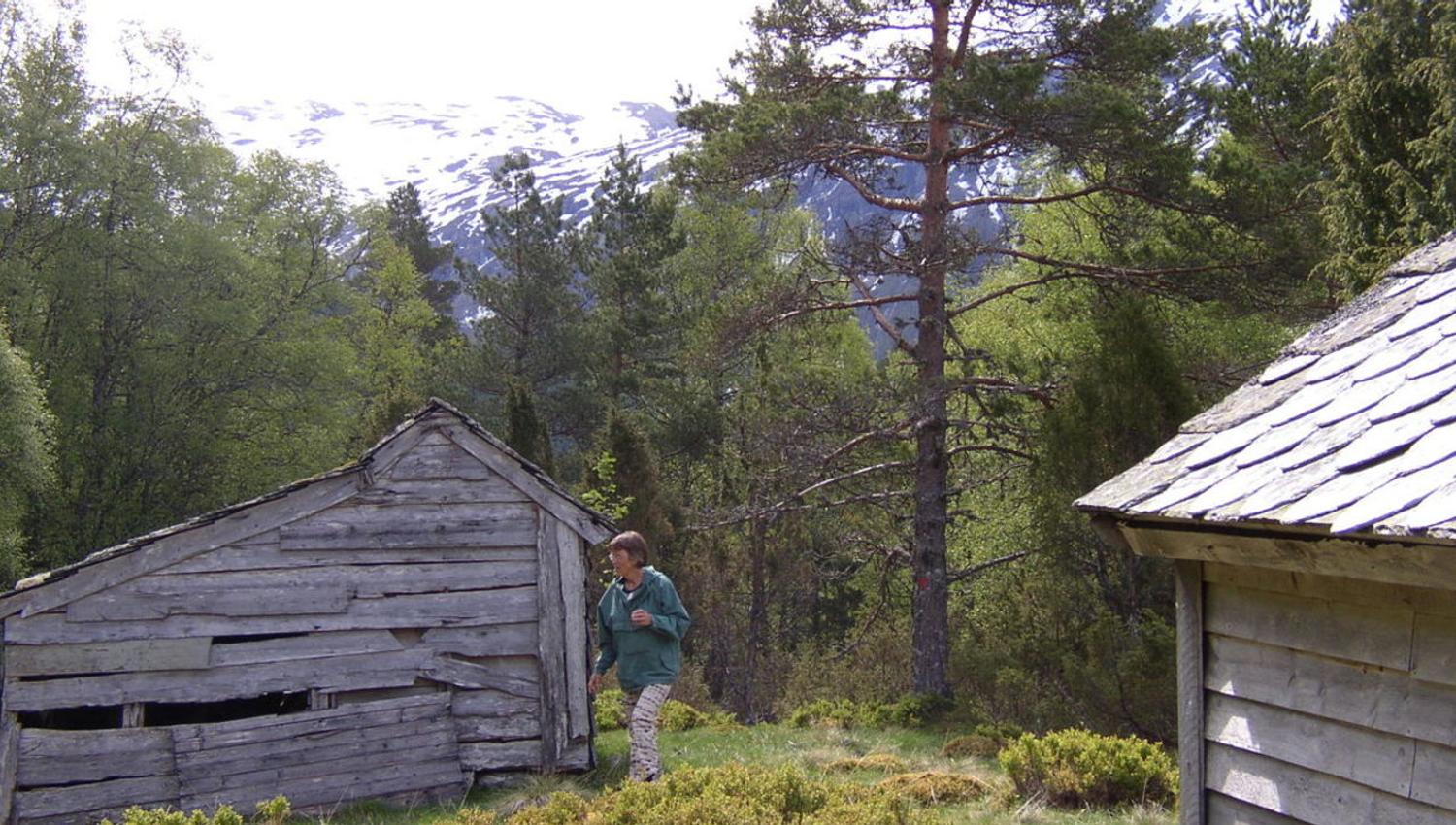 Klepp, Sveinung Selsvik